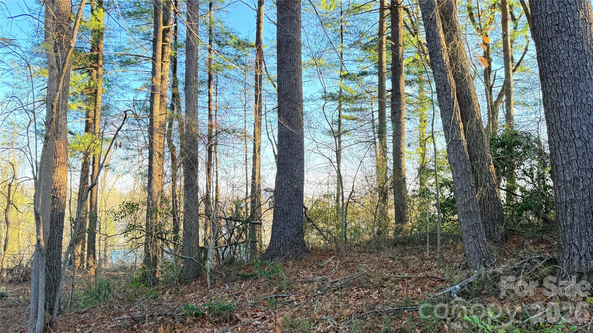 00 Toms Park Circle 21&22