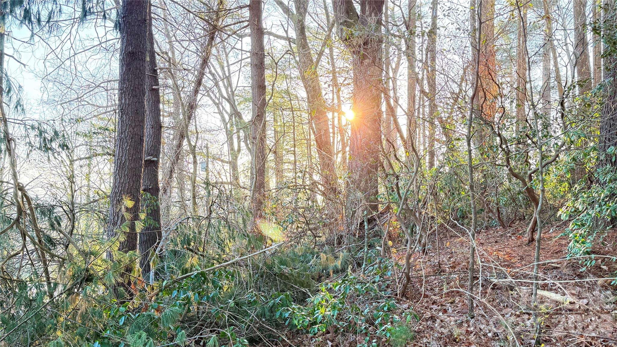 Toms Hill Park - Land