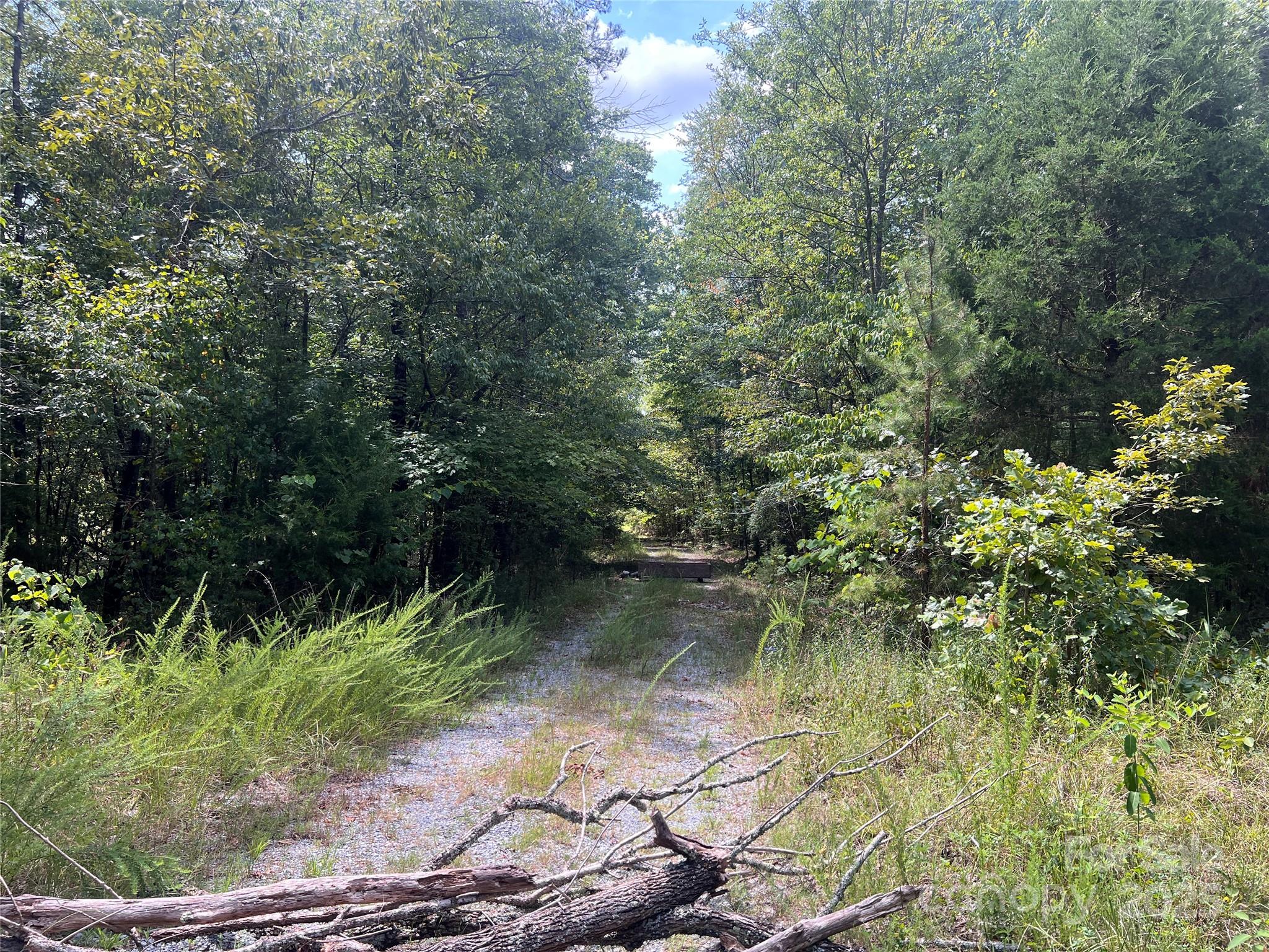 00 Blue Branch Road