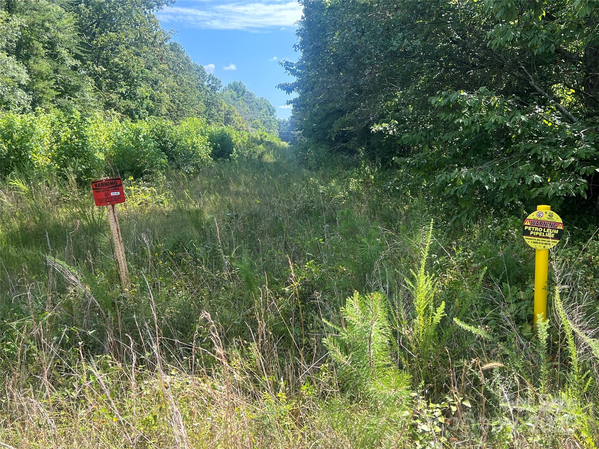 00 Blue Branch Road