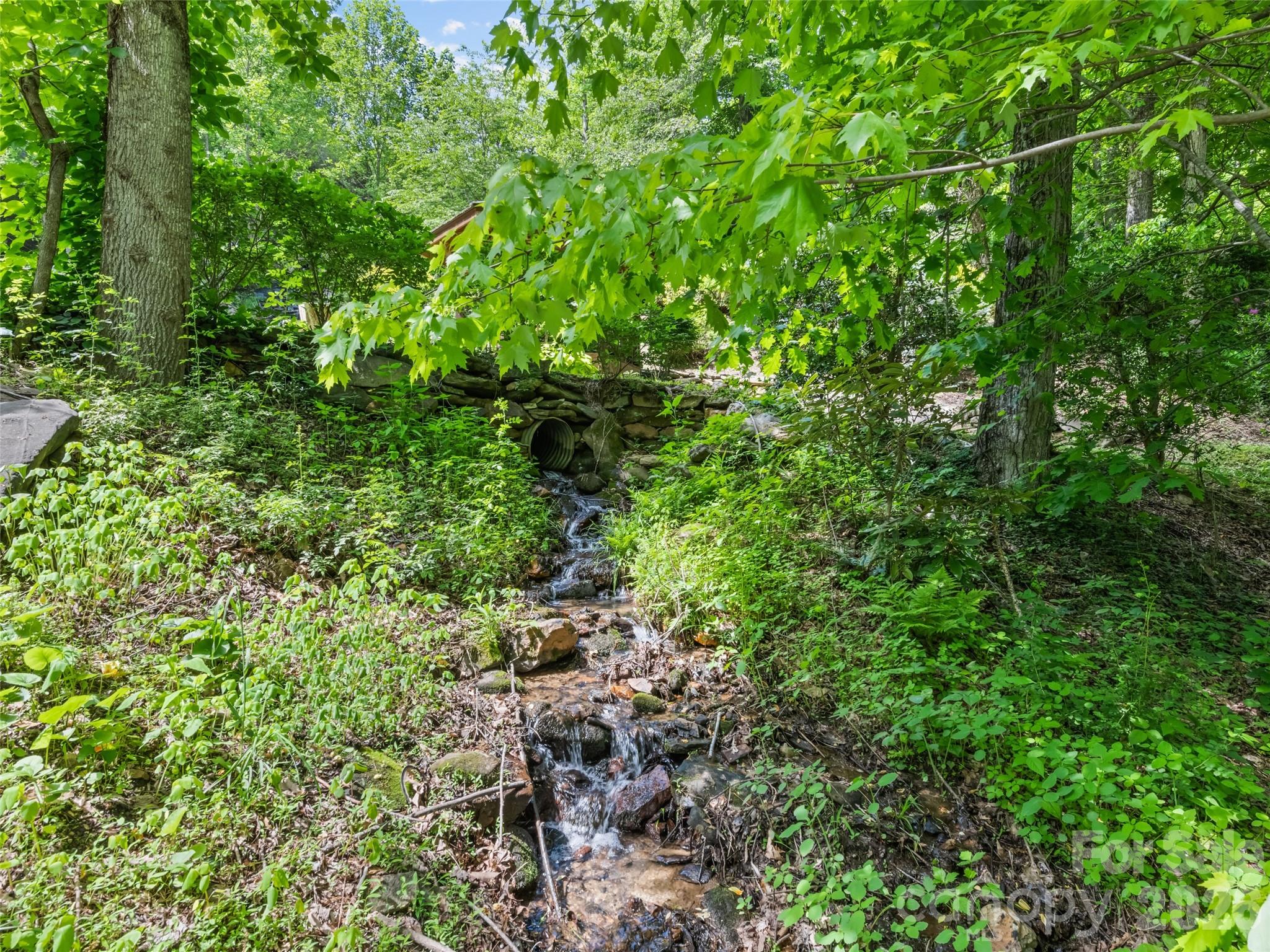 Maggie Valley Country Club Est - Residential