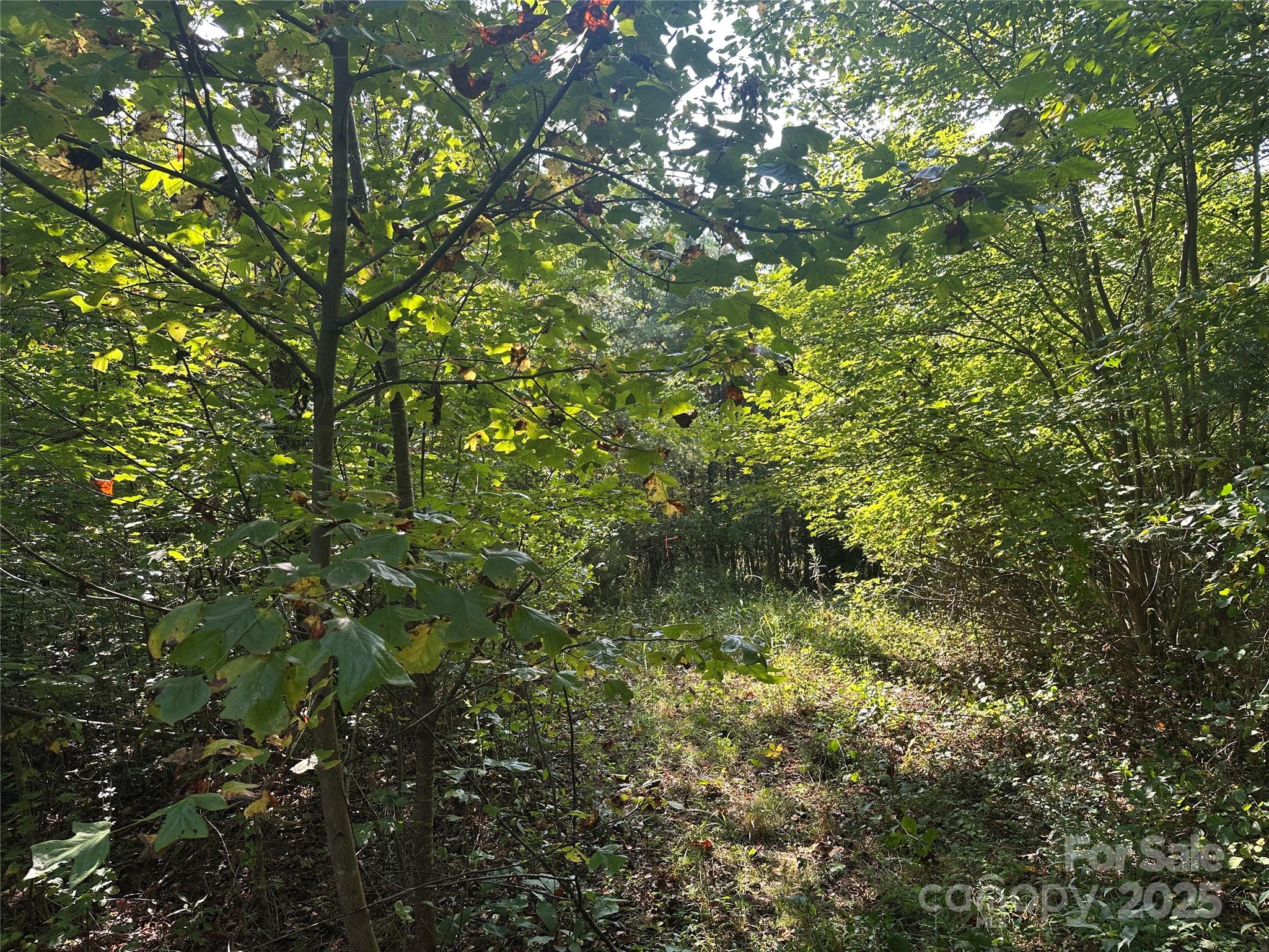 Tract 1 Off Timber Road