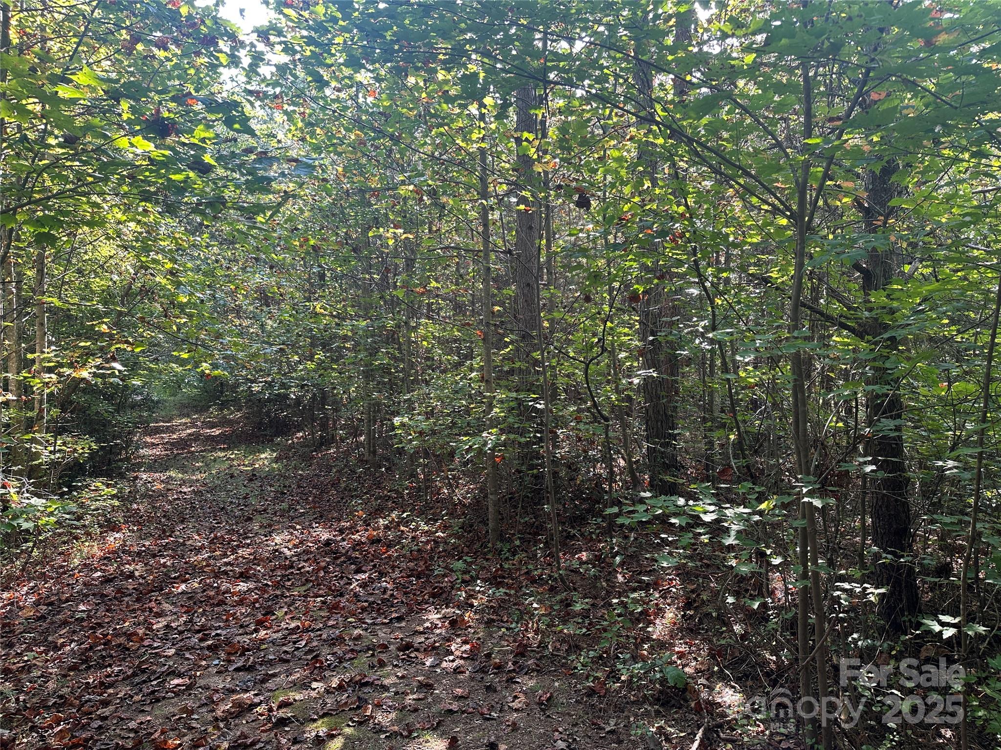 Tract 1 Off Timber Road