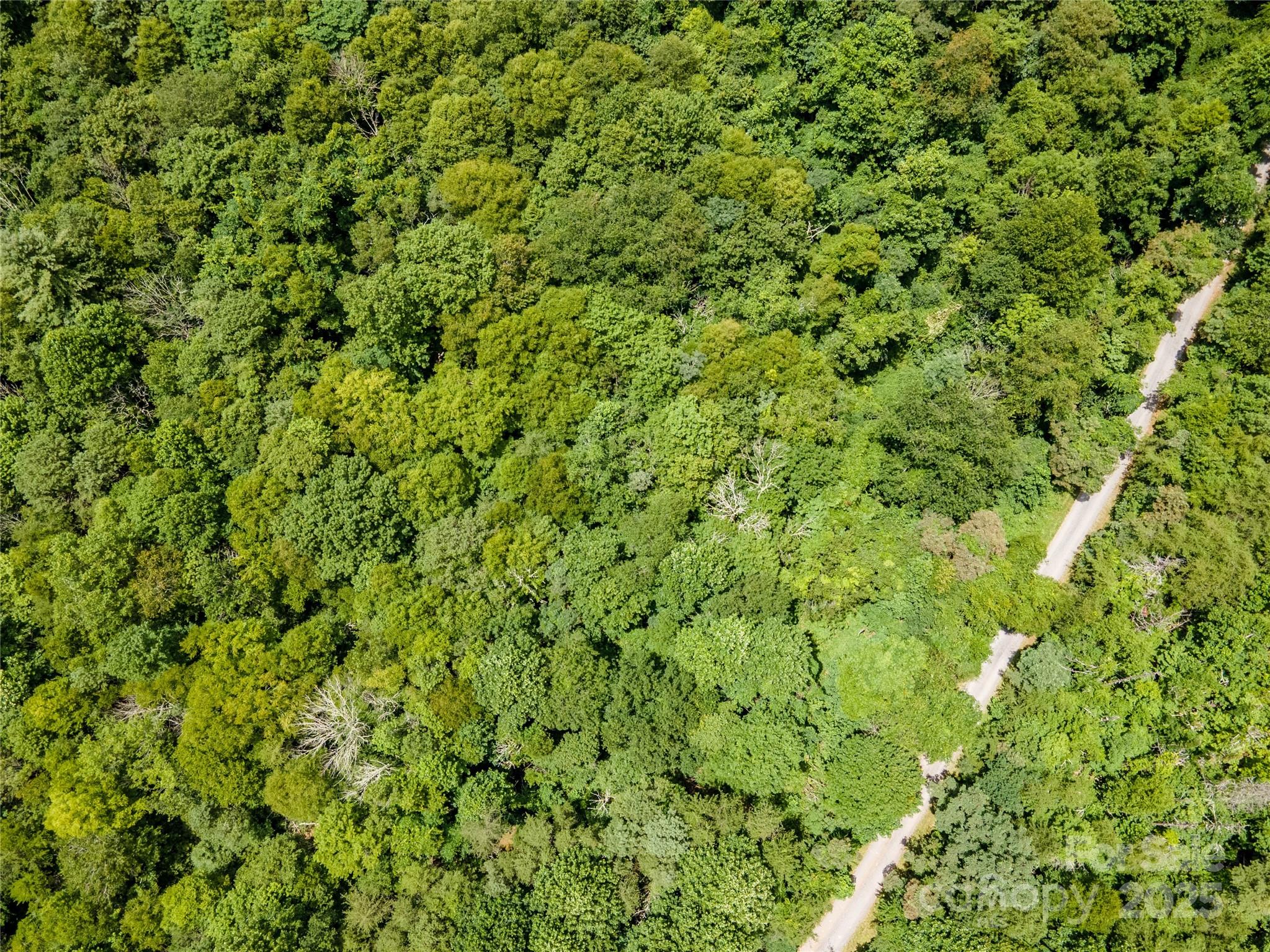 Newfound Gap Acres - Land