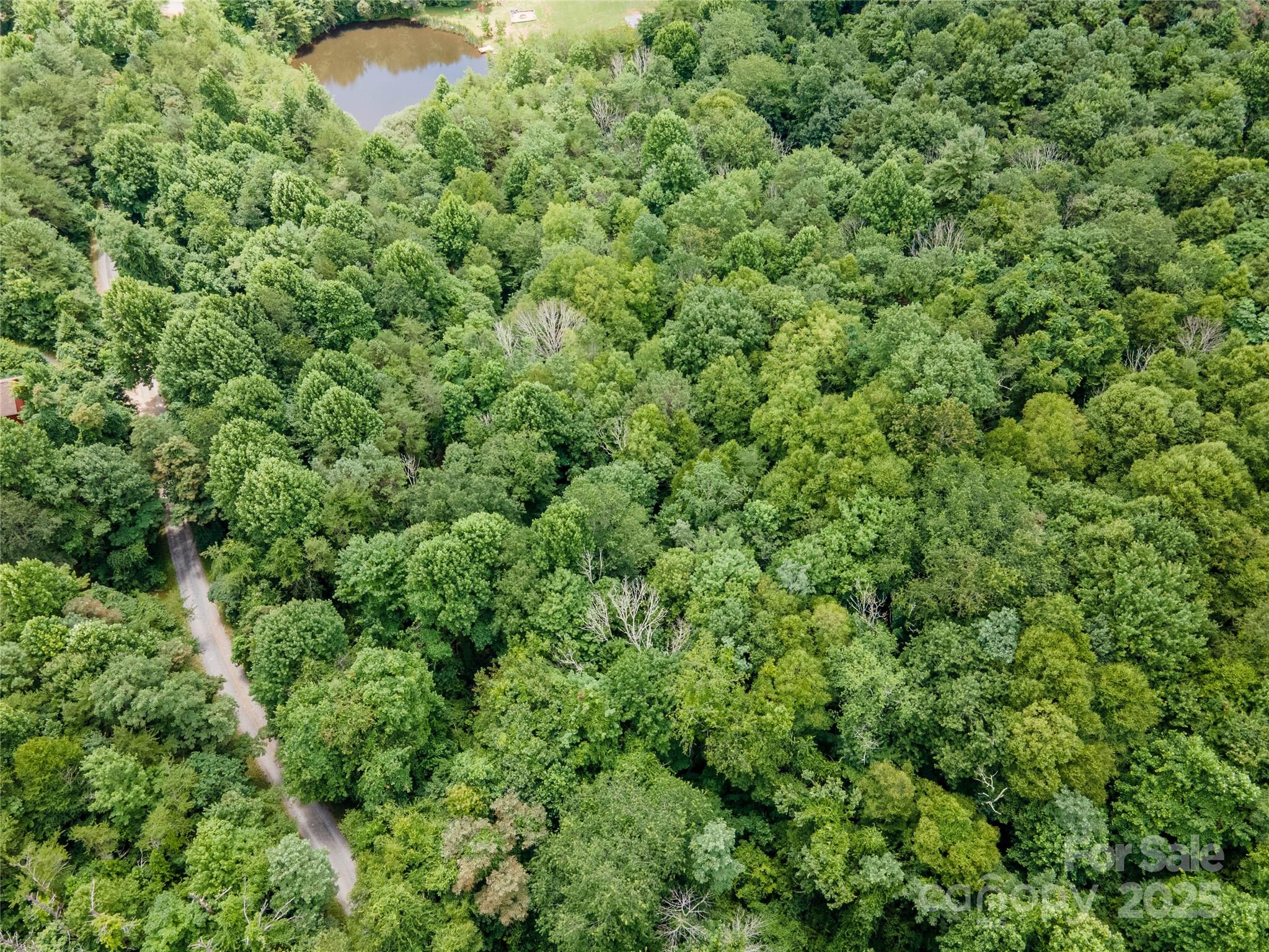 Newfound Gap Acres - Land