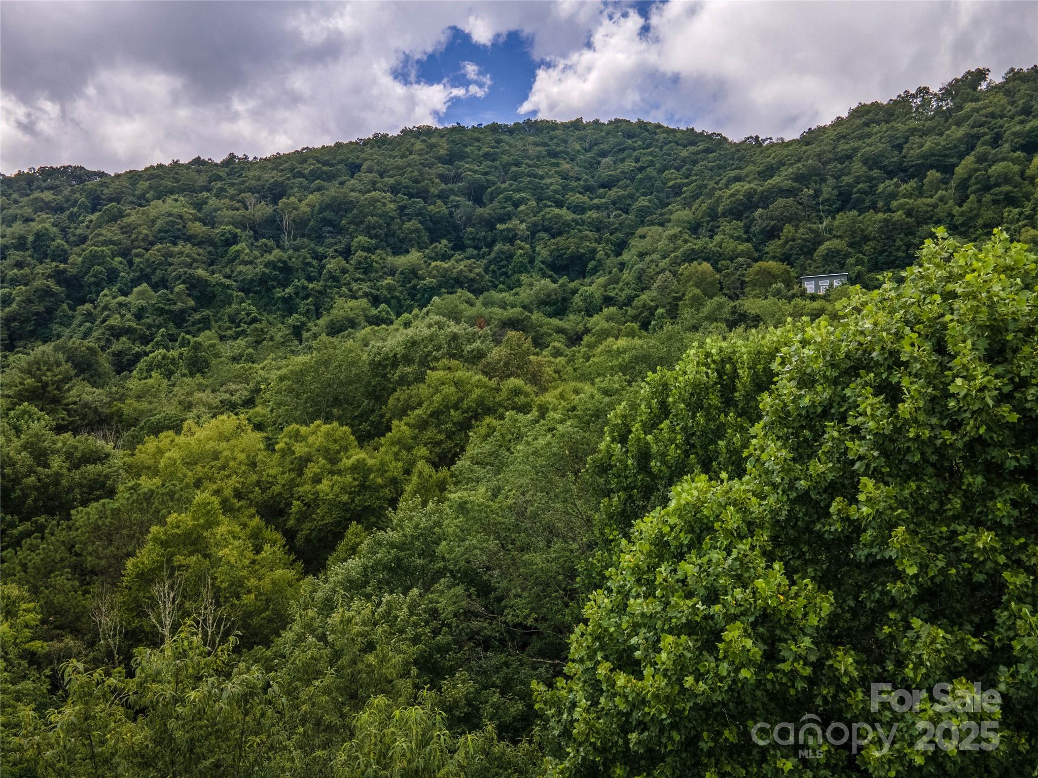 Newfound Gap Acres - Land