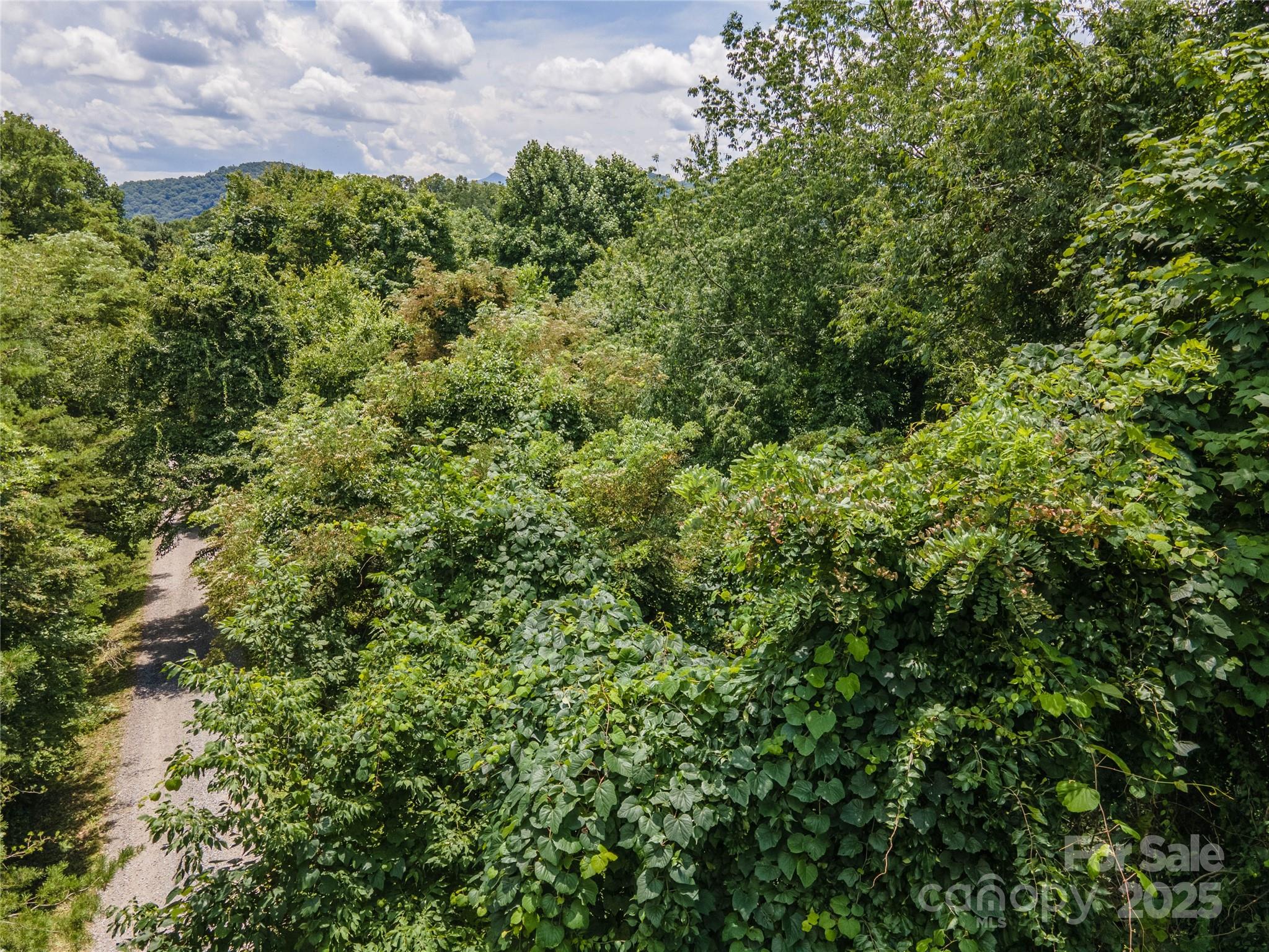 Newfound Gap Acres - Land