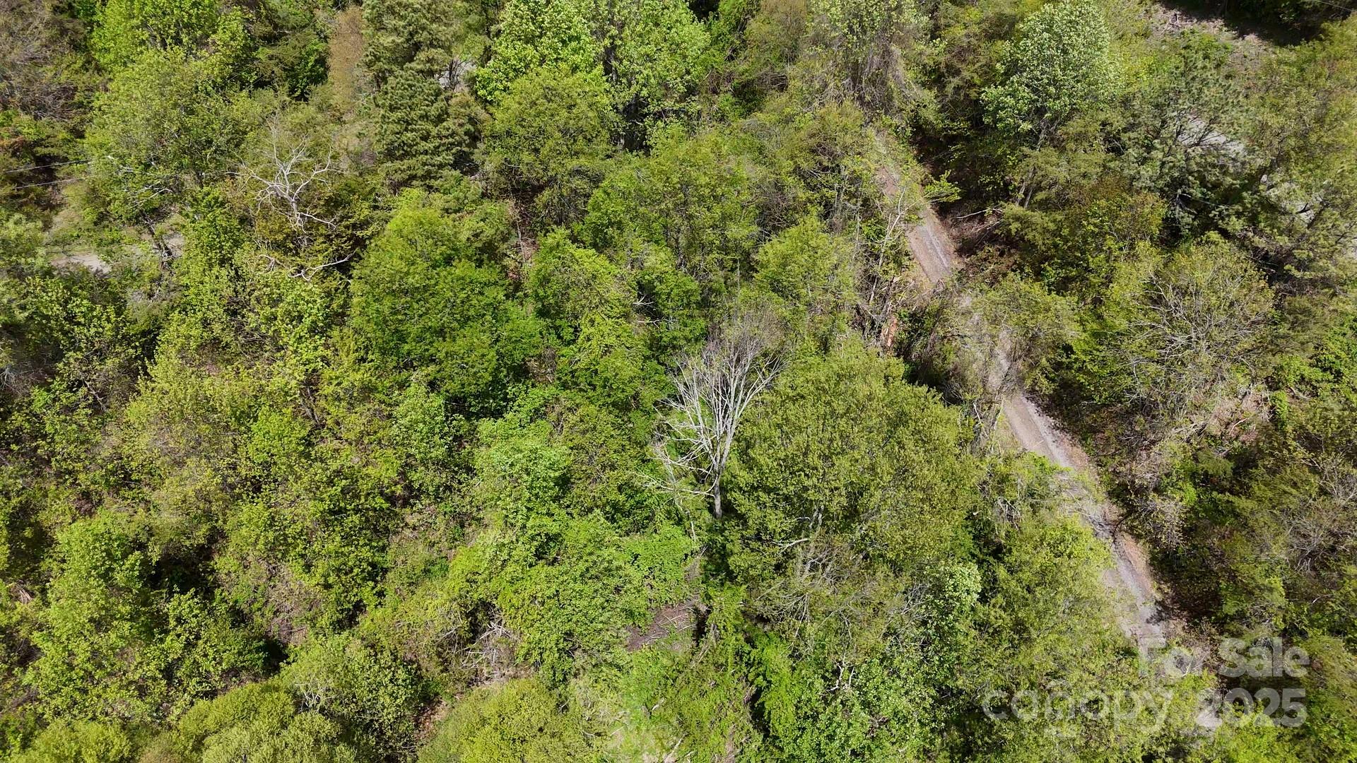 Newfound Gap Acres - Land