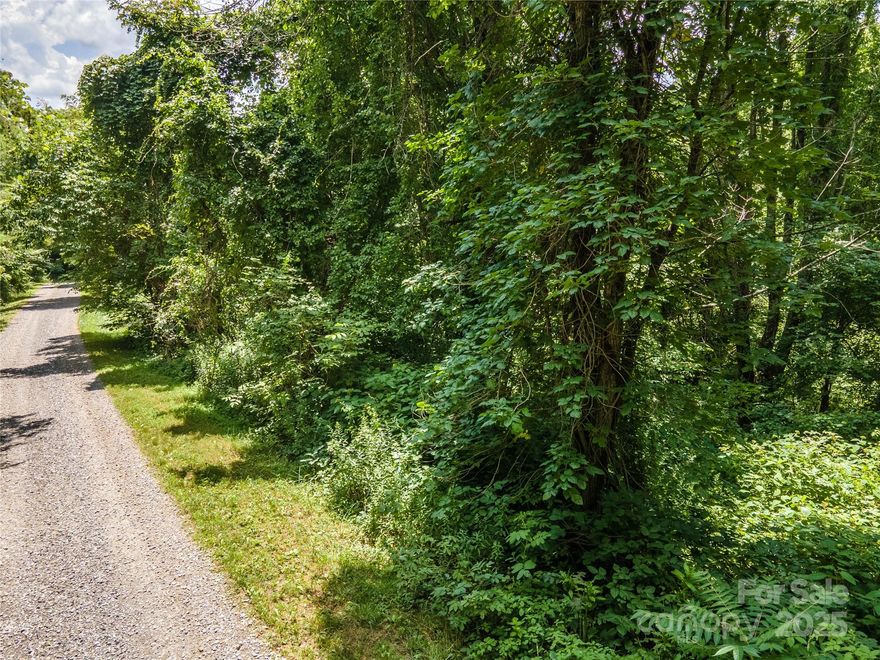 Nestled within a well-maintained and private subdivision, this serene and secluded lot offers the perfect retreat for nature lovers and those seeking tranquility. The property boasts gentle slopes, allowing for easy development, and features a charming small stream that graces the lower property line—adding to the idyllic charm. With level access and the potential to unveil stunning views through thoughtful clearing, this lot is both inviting and versatile. Located on Lake Drive, also known as Stony Pond Lane, this hidden gem is waiting to become your dream escape or forever home. Don't miss the opportunity to make it yours! This is a gated community and all interested buyers must be accompanied by an agent.