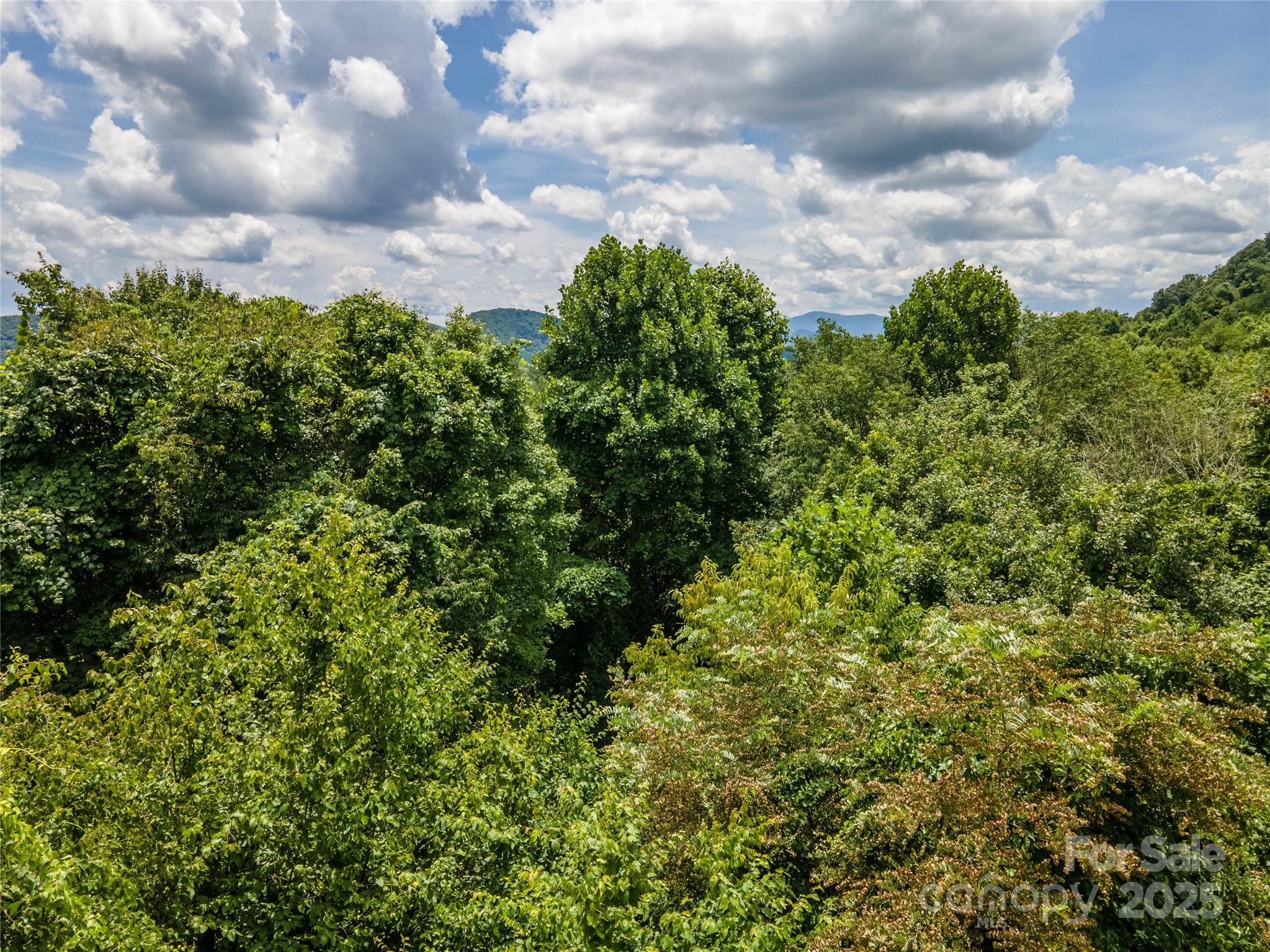 Newfound Gap Acres - Land