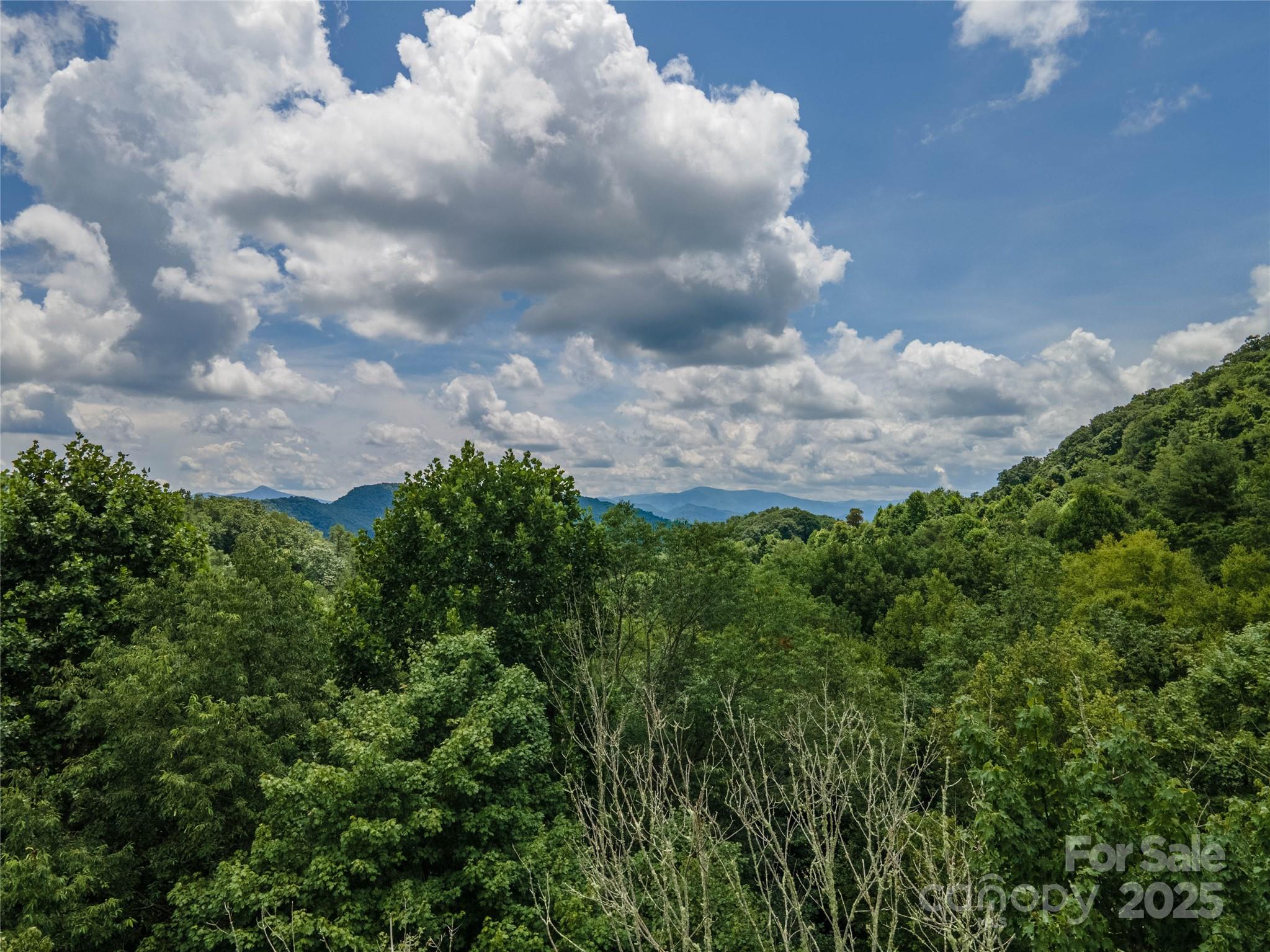 Newfound Gap Acres - Land