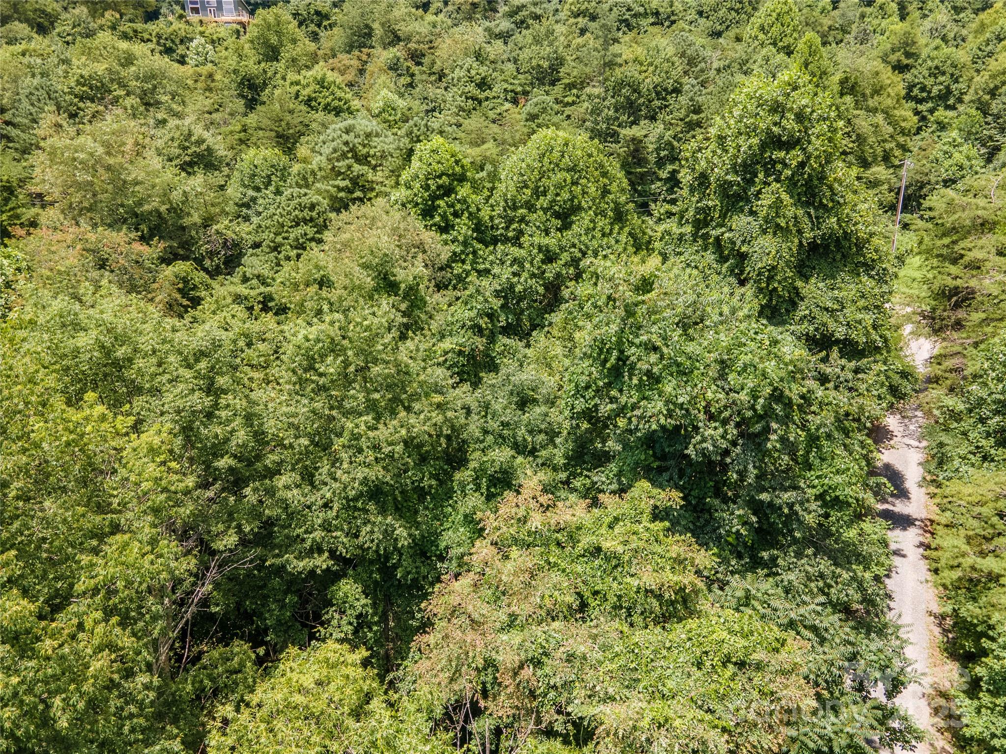 Newfound Gap Acres - Land