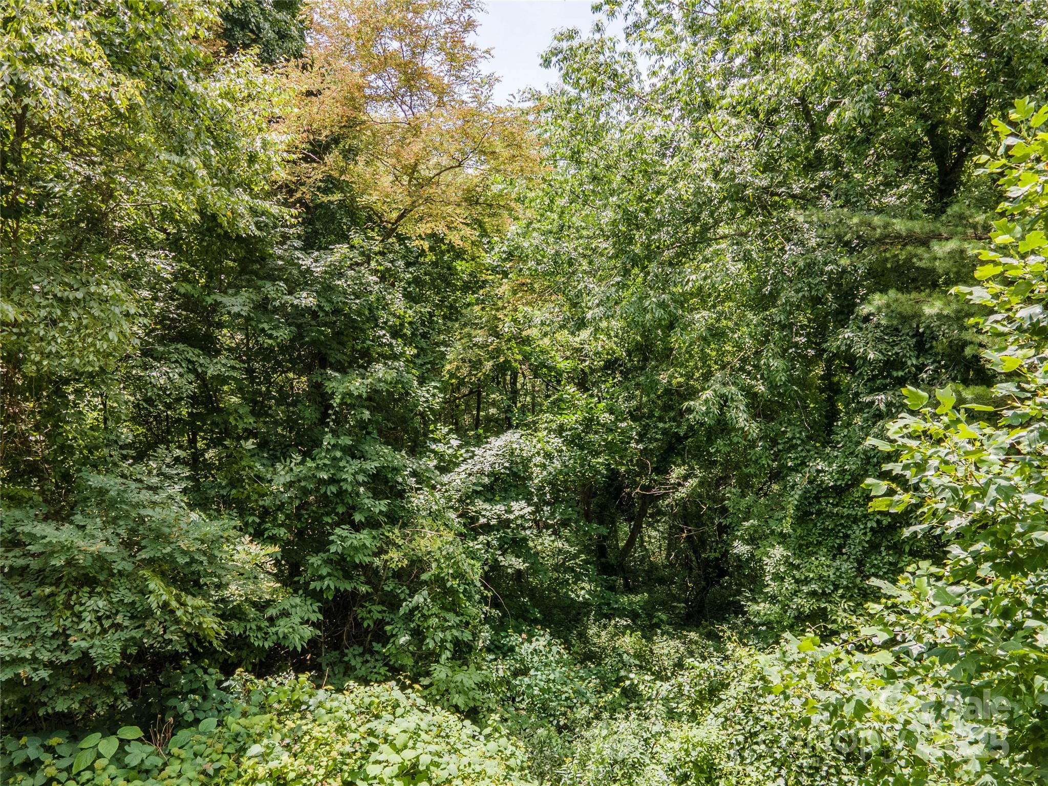 Lot 26 Lake Drive