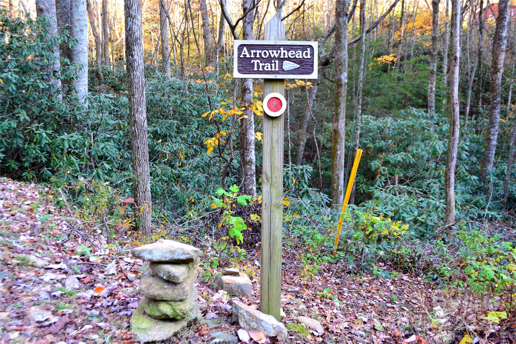 99999 Fairview Forest Drive