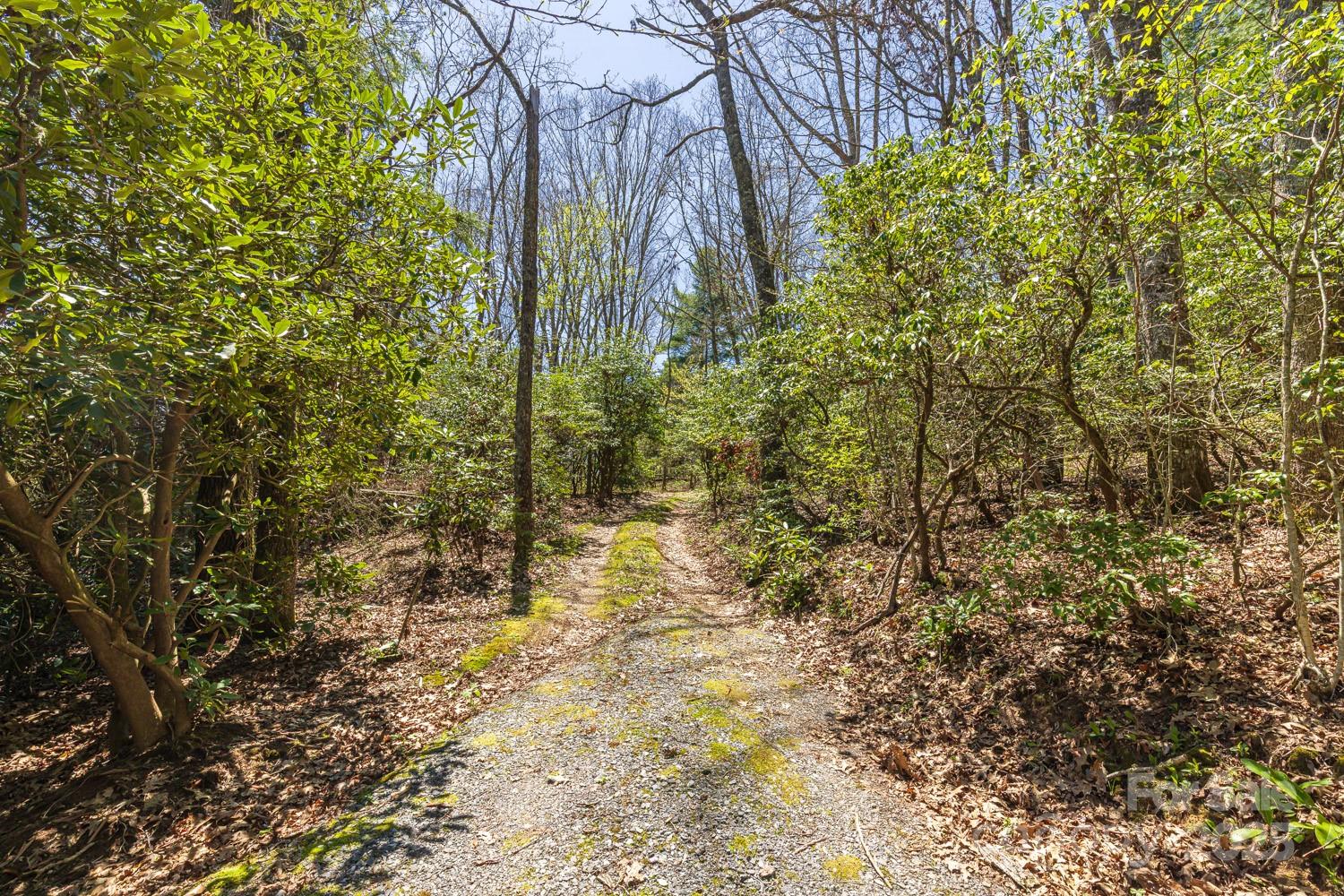 99999 Fairview Forest Drive