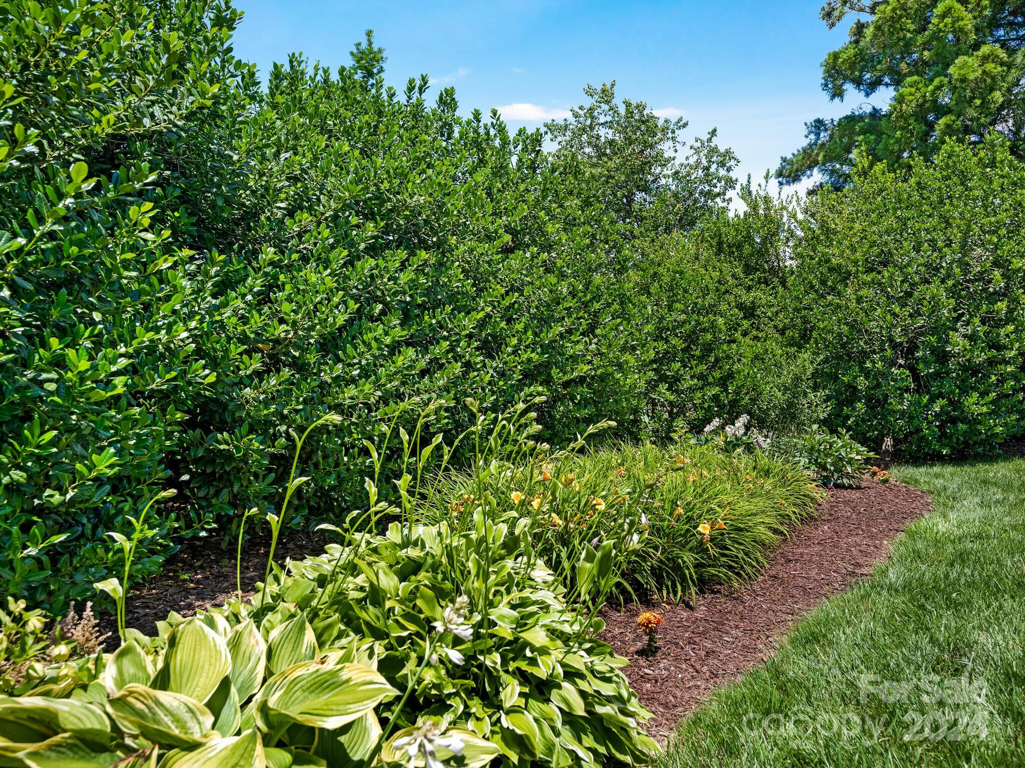 Troon at Ballantyne - Residential