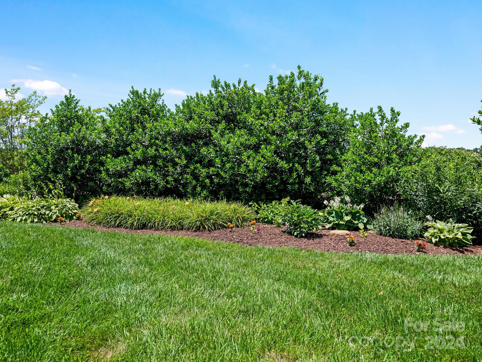 Troon at Ballantyne - Residential