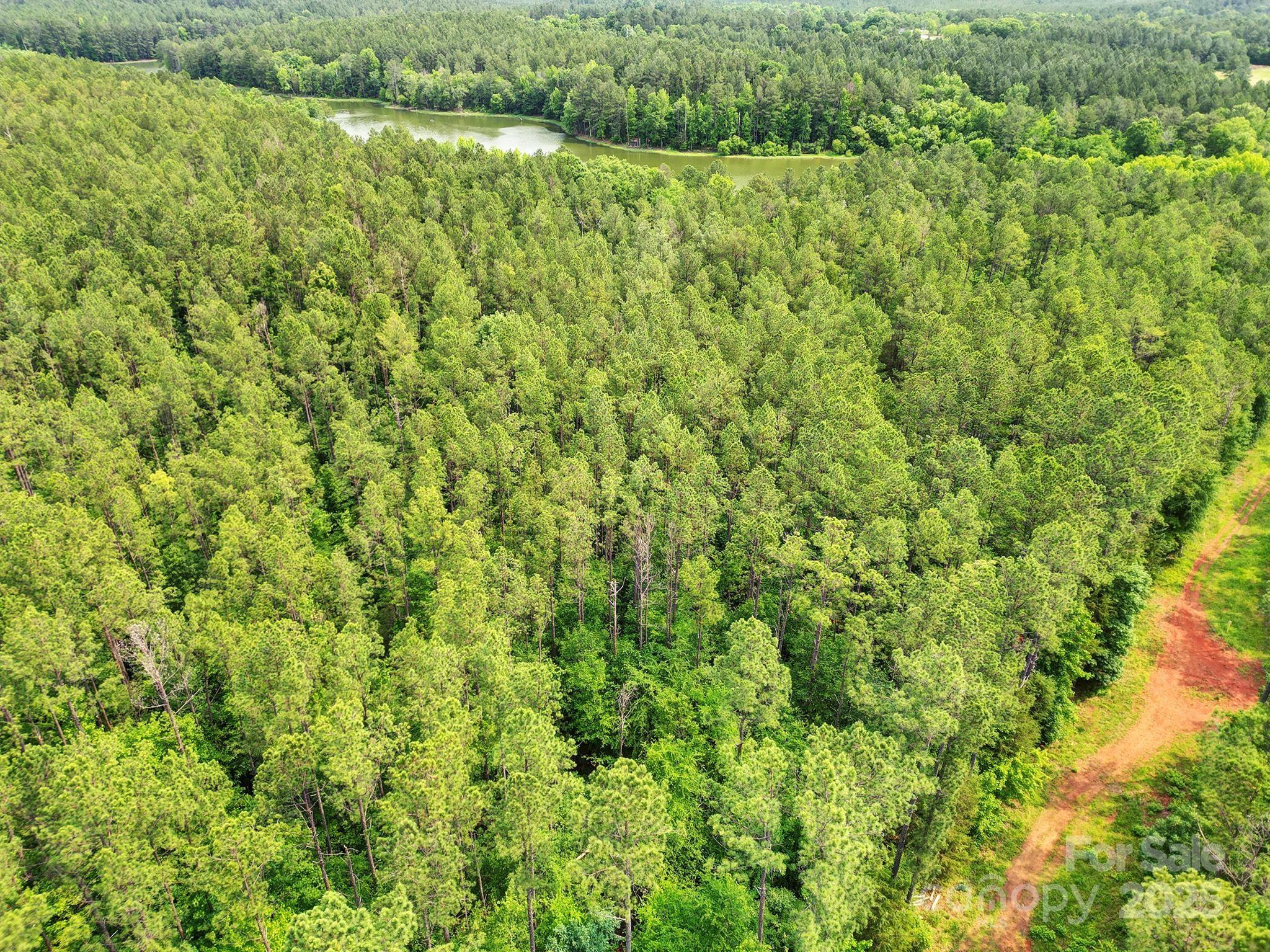 Serenity Shores - Land