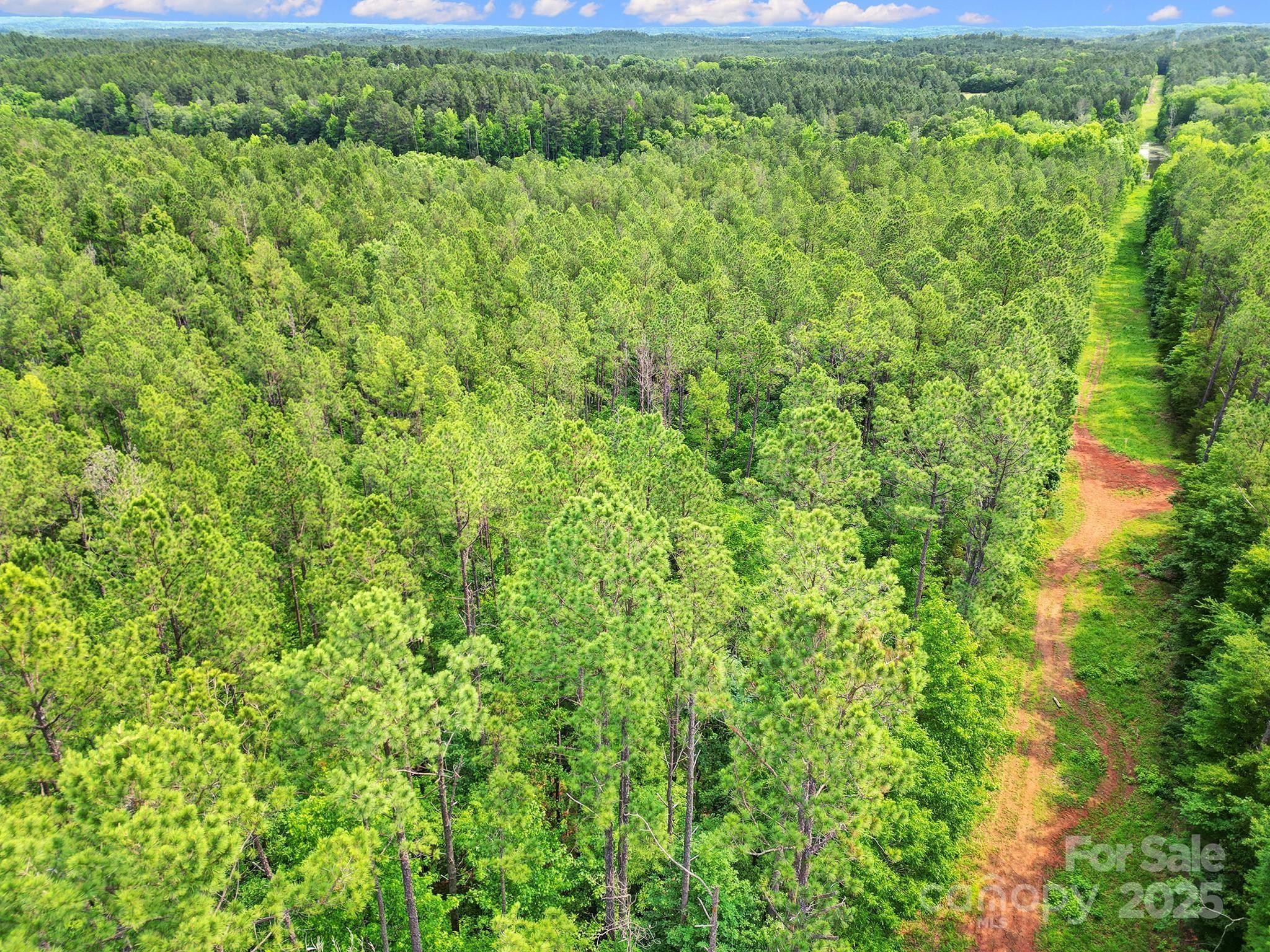 Serenity Shores - Land