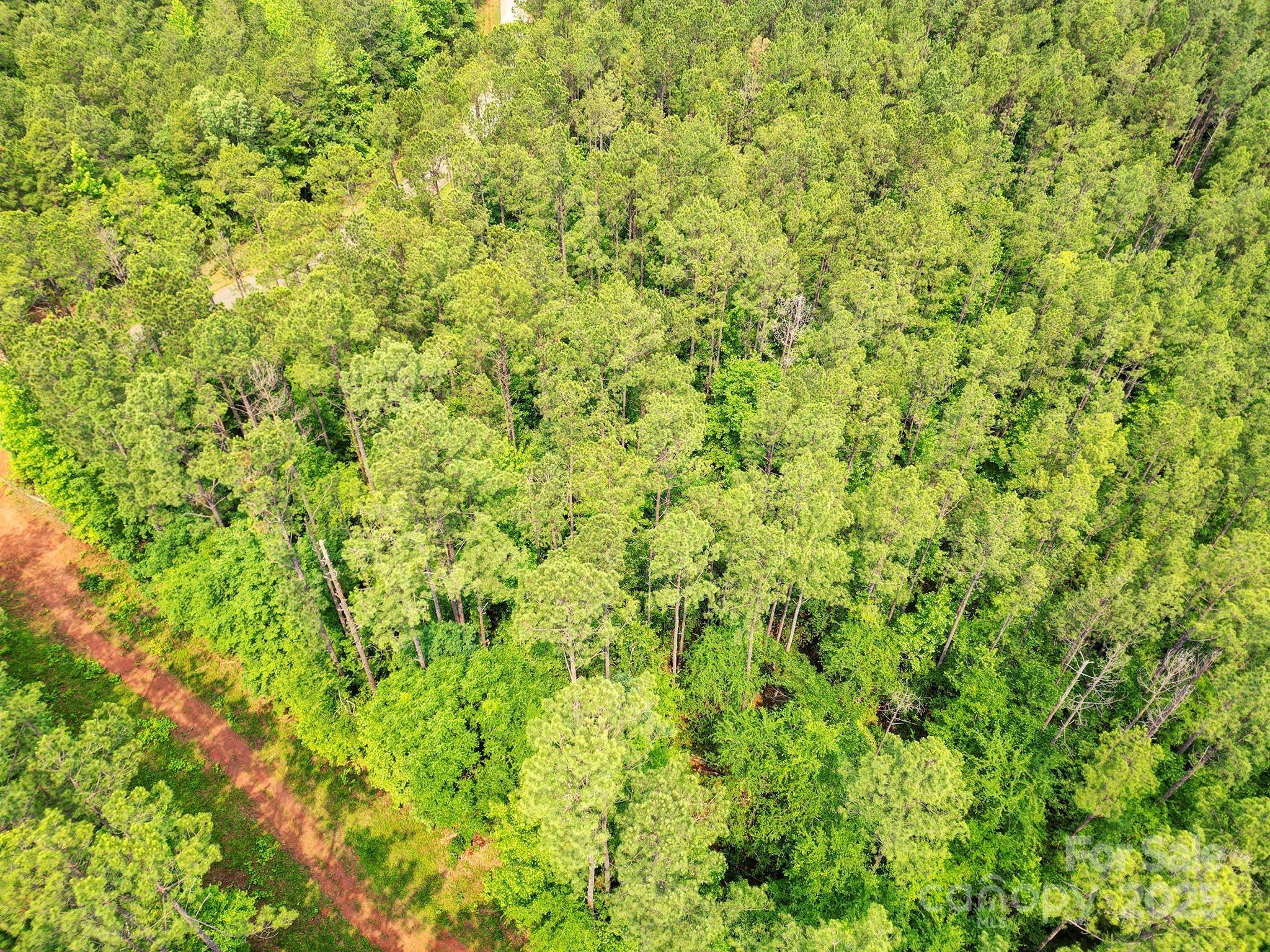 Serenity Shores - Land