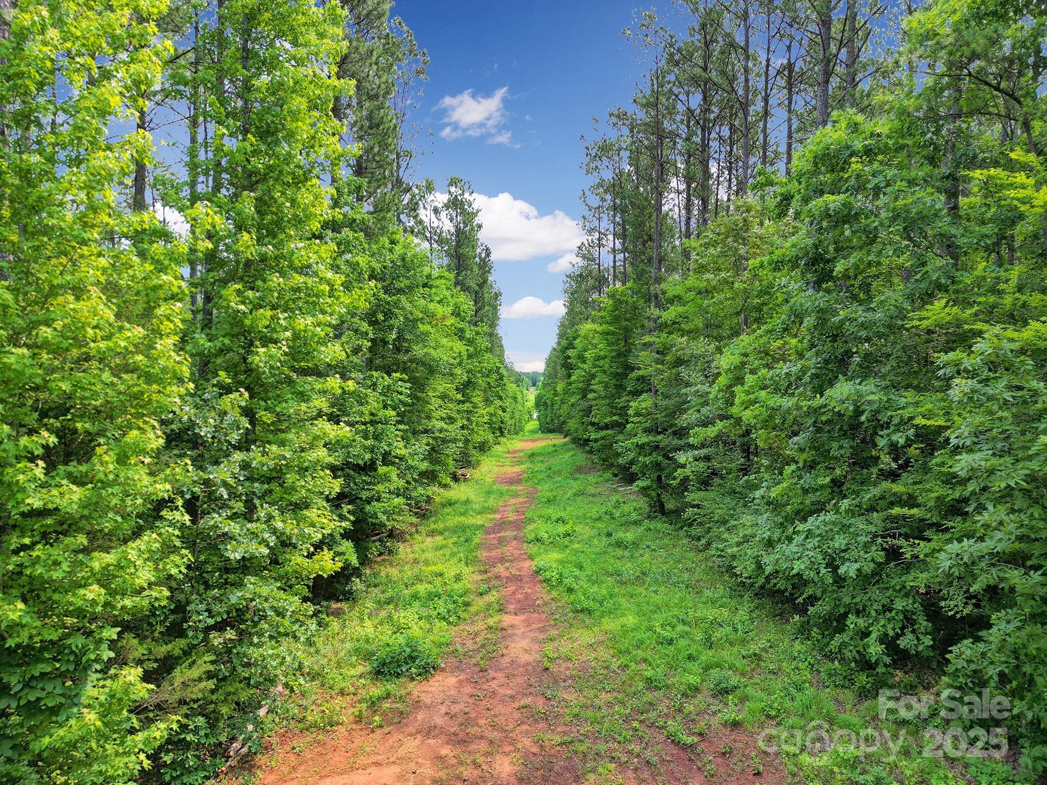 Serenity Shores - Land