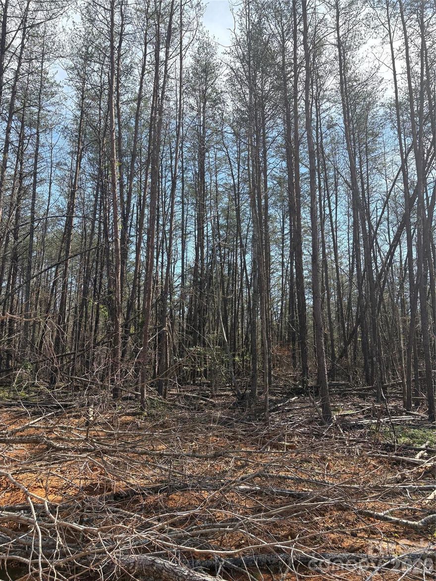 Beautiful wooded acreage with rolling terrain and a peaceful natural setting. This private tract offers a great mix of mature hardwoods, open cleared areas, and gentle slopes ideal for a future homesite . Enjoy mountain-style views, abundant wildlife, and plenty of space to explore while still being convenient to nearby amenities. A rare opportunity to own land with endless potential!