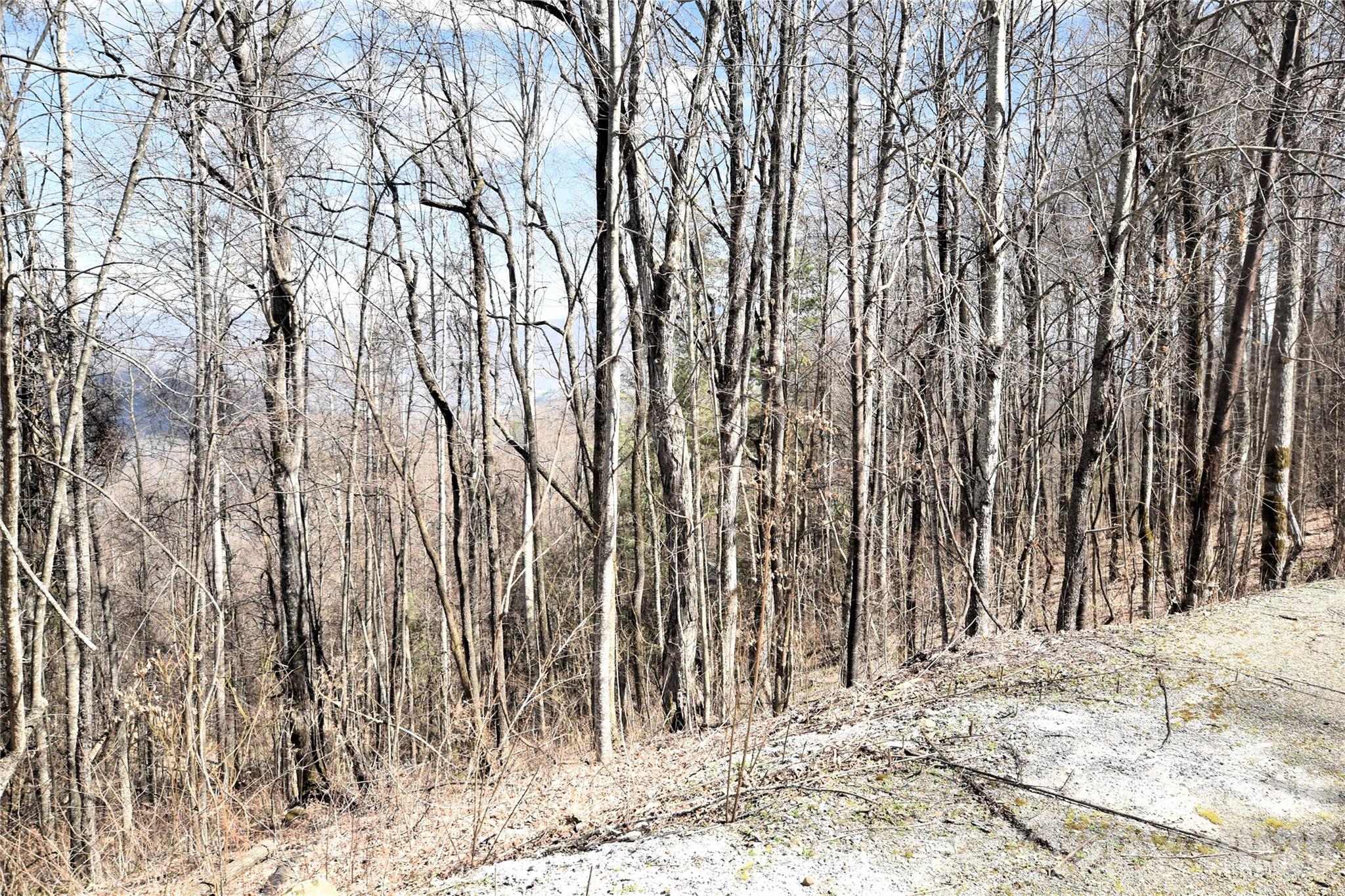 000 Curry Comb Trail 513