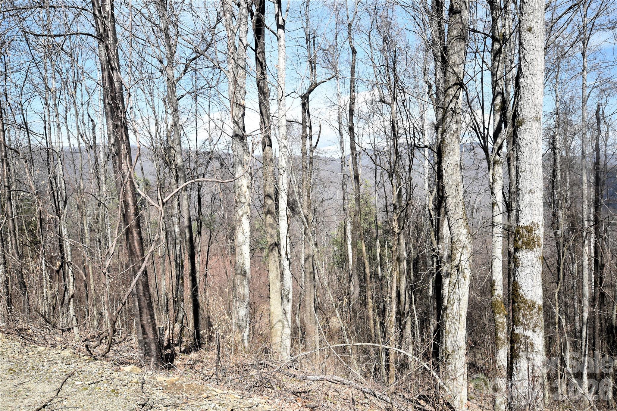 000 Curry Comb Trail 513