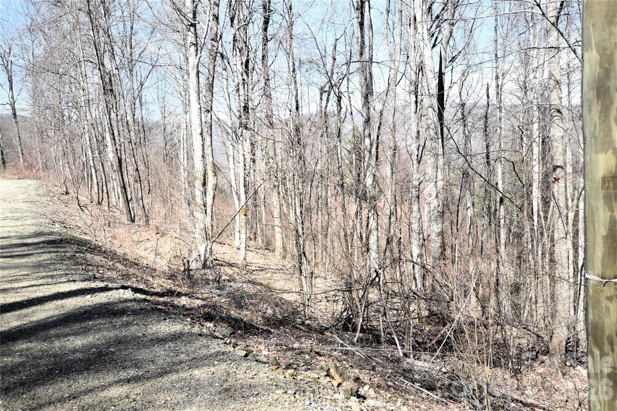 000 Curry Comb Trail 513