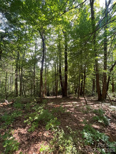 Lot # 21 Haverhill Court 21 Flat Rock NC 28731