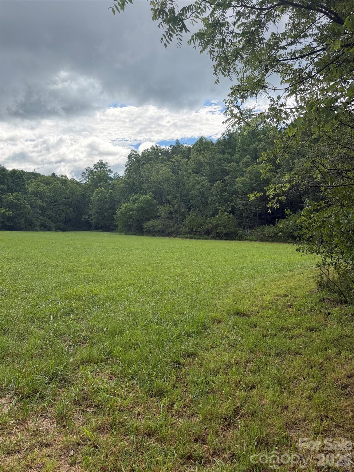 Lot 11 Parker Padgett Road, Old Fort, NC, 28762