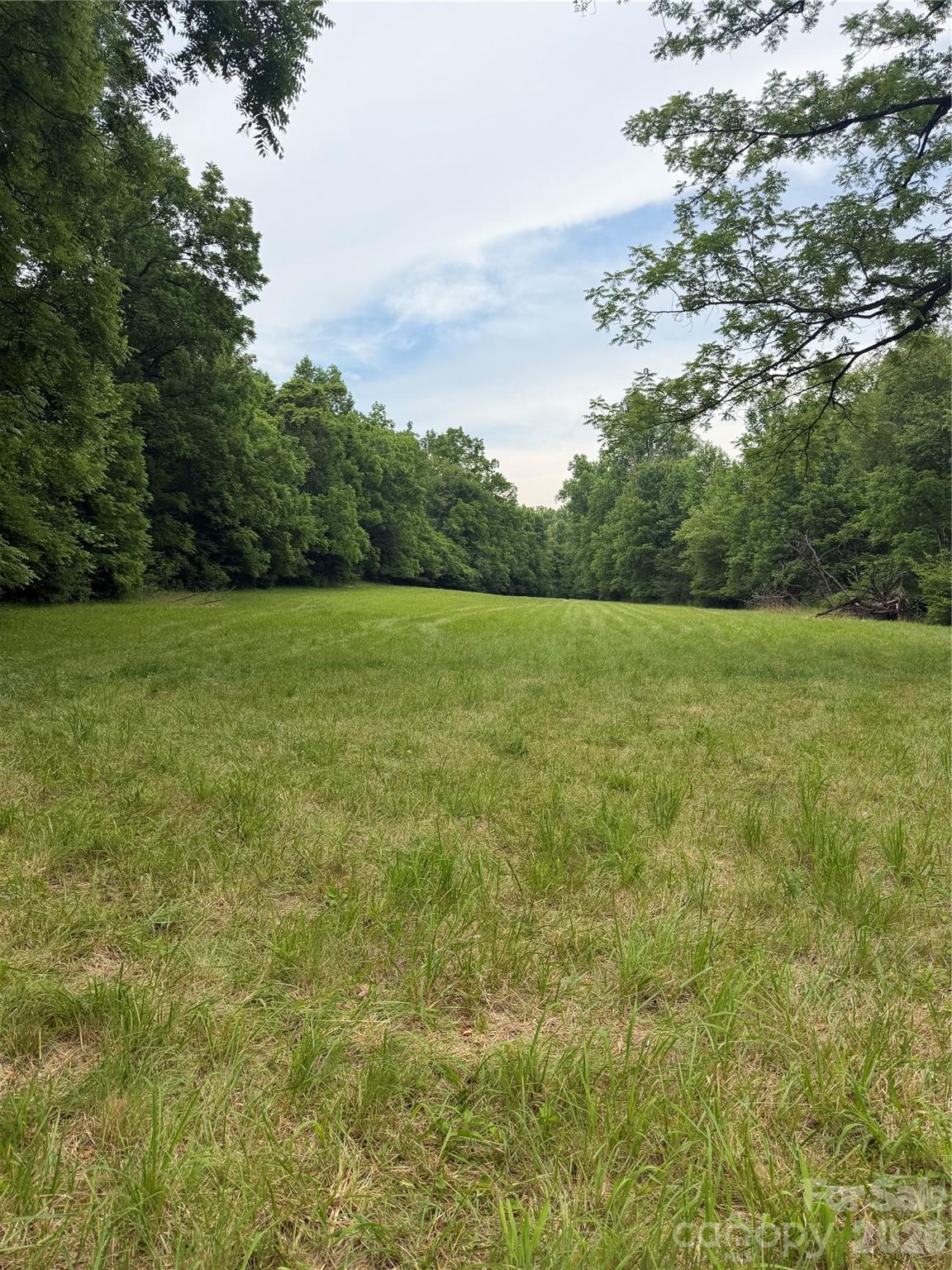 Lot 11 Parker Padgett Road