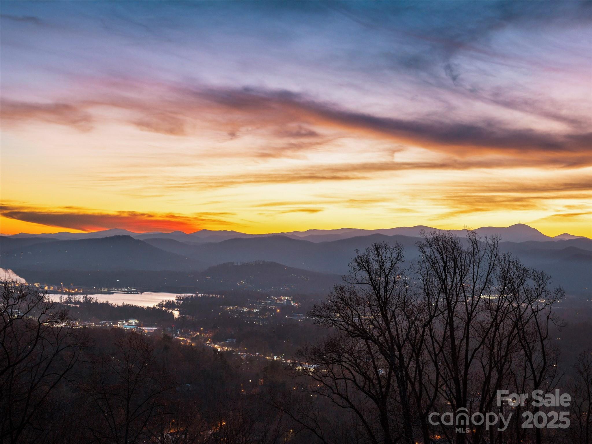 Pinchot Forest - Residential