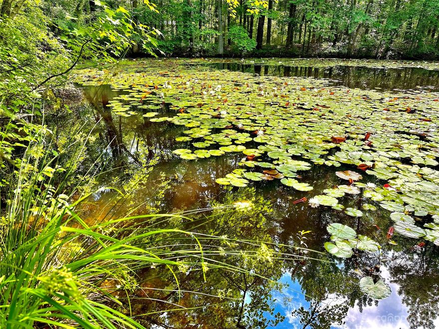 Over 1 acre gorgeous lot in Union County! Pond on property! Land has been tested and its not suitable for a conventional septic system. Alternative septic needed. Union County water is available. Tap fee is required, approximately $2,100. There's an easement to get onto the property. 
Do not walk property without permission from the listing agent.