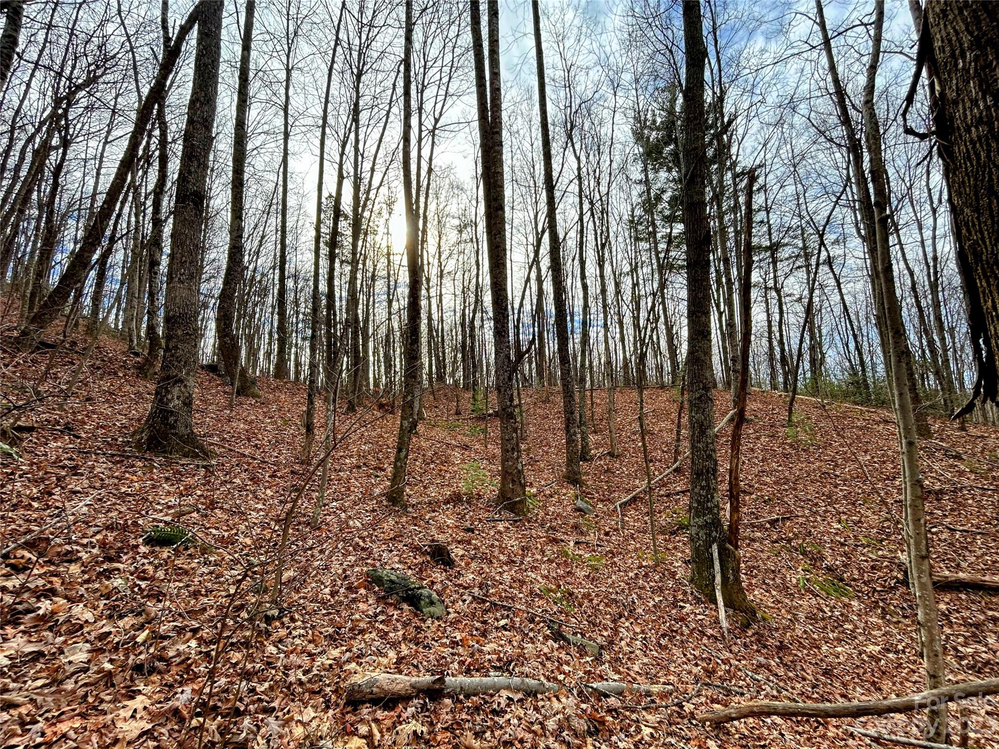 Little Warrior Mtn Estates - Land