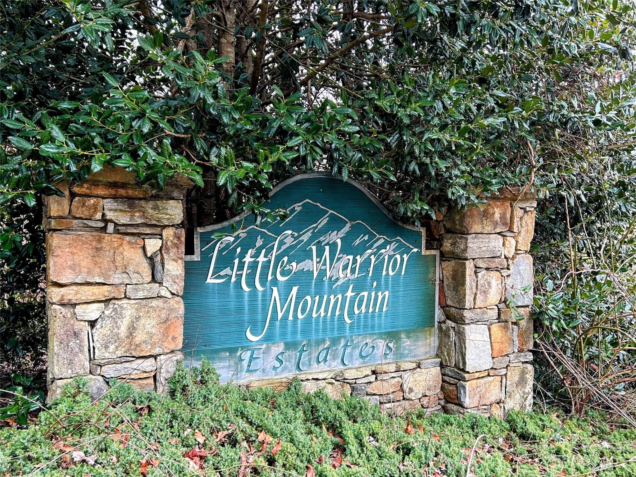 Little Warrior Mtn Estates - Land