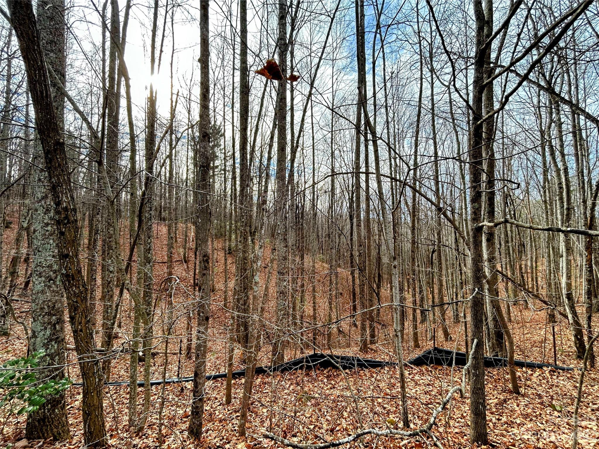 Little Warrior Mtn Estates - Land