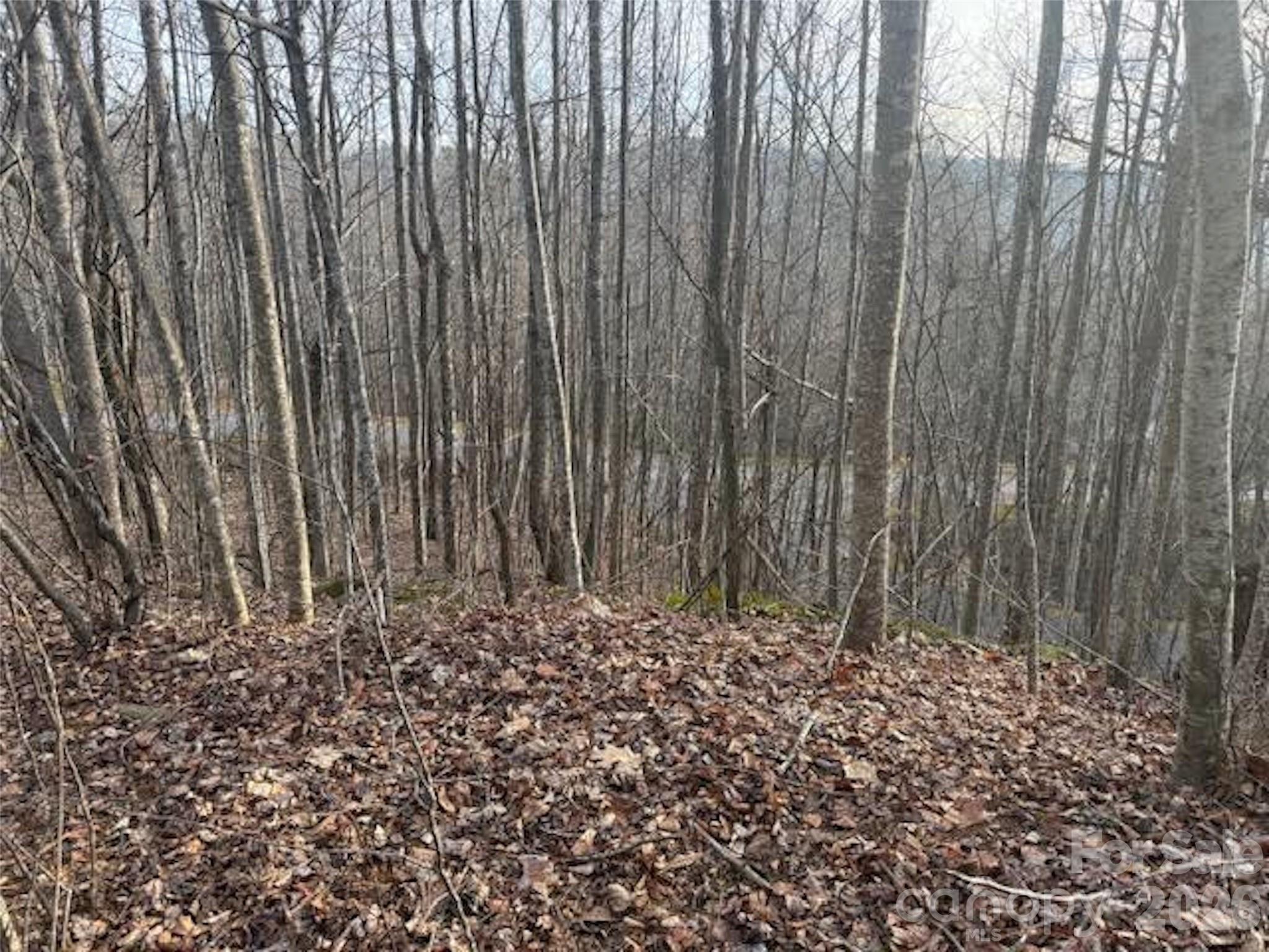 TBD Soapstone Creek Drive 14