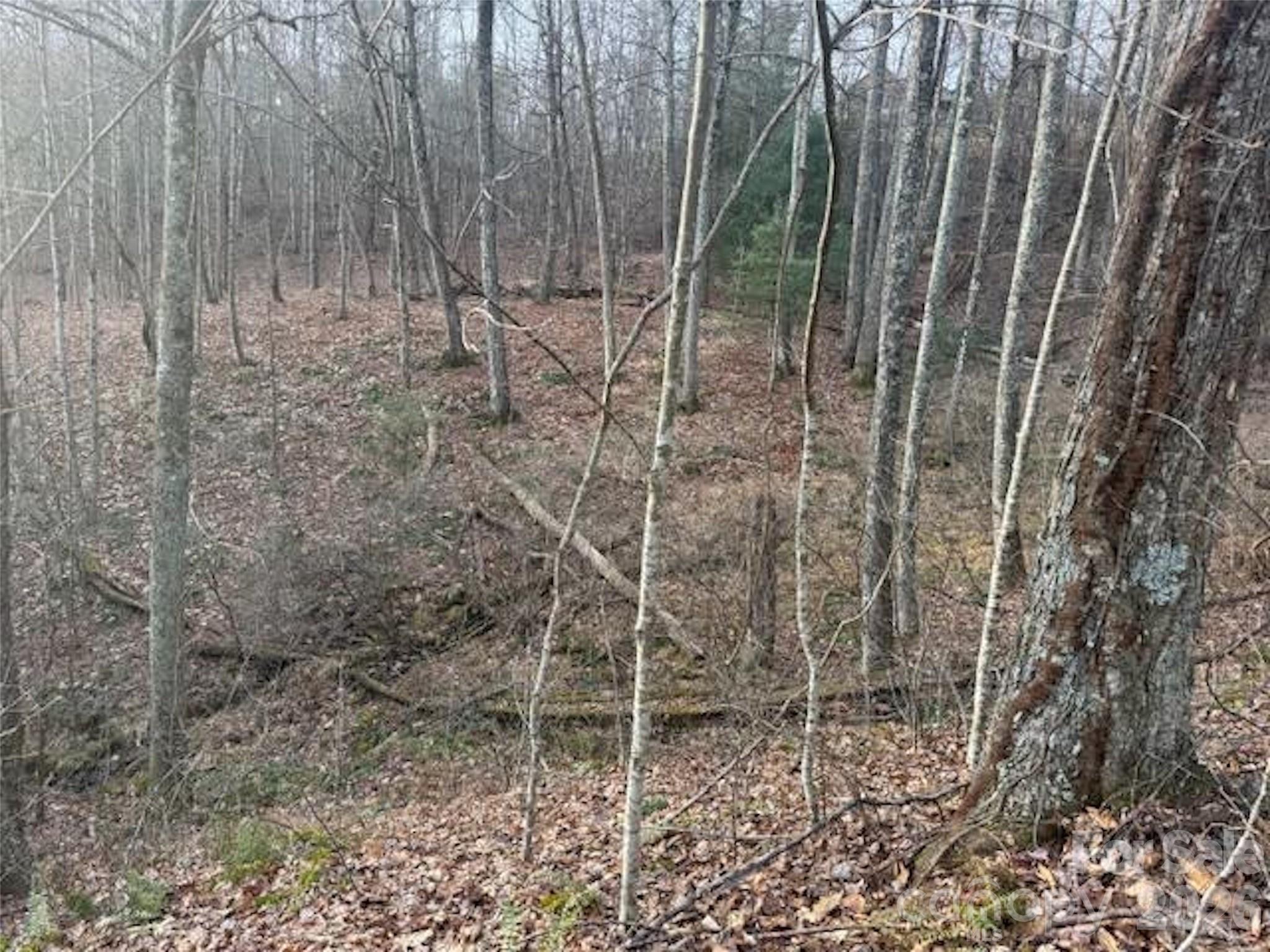 Soapstone Creek Estates - Land