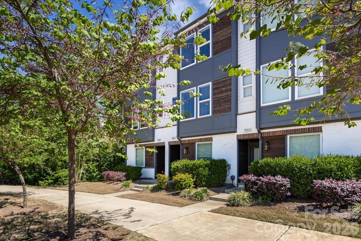 LOSO Terraces - Residential