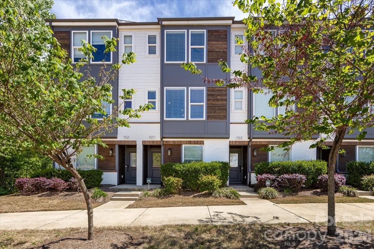 LOSO Terraces - Residential