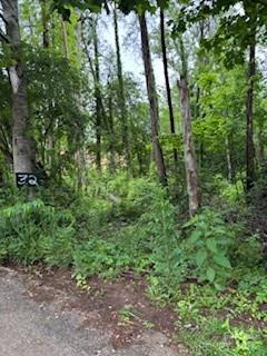 0000 Heathwood Lane 32