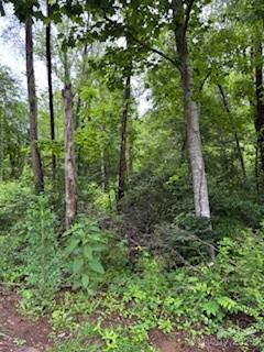 0000 Heathwood Lane 32