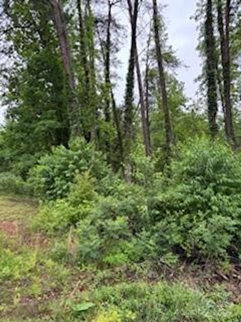 0000 Heathwood Lane 32 Franklin NC 28734