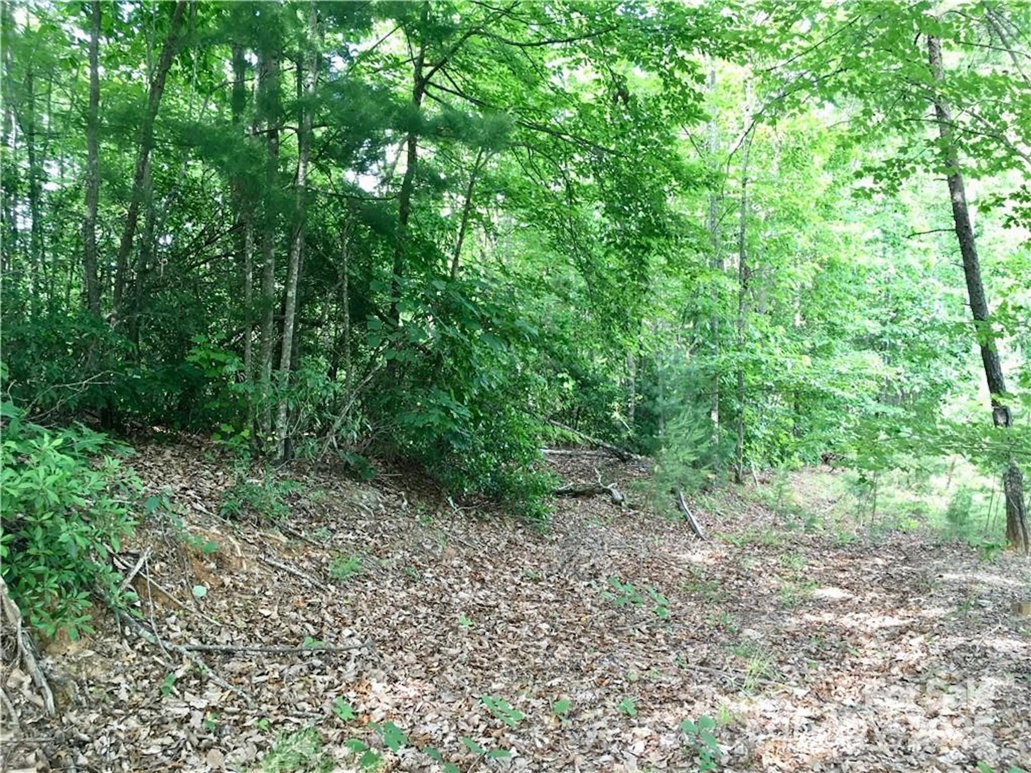 Lot 44 Round Mountain Parkway Lot 44