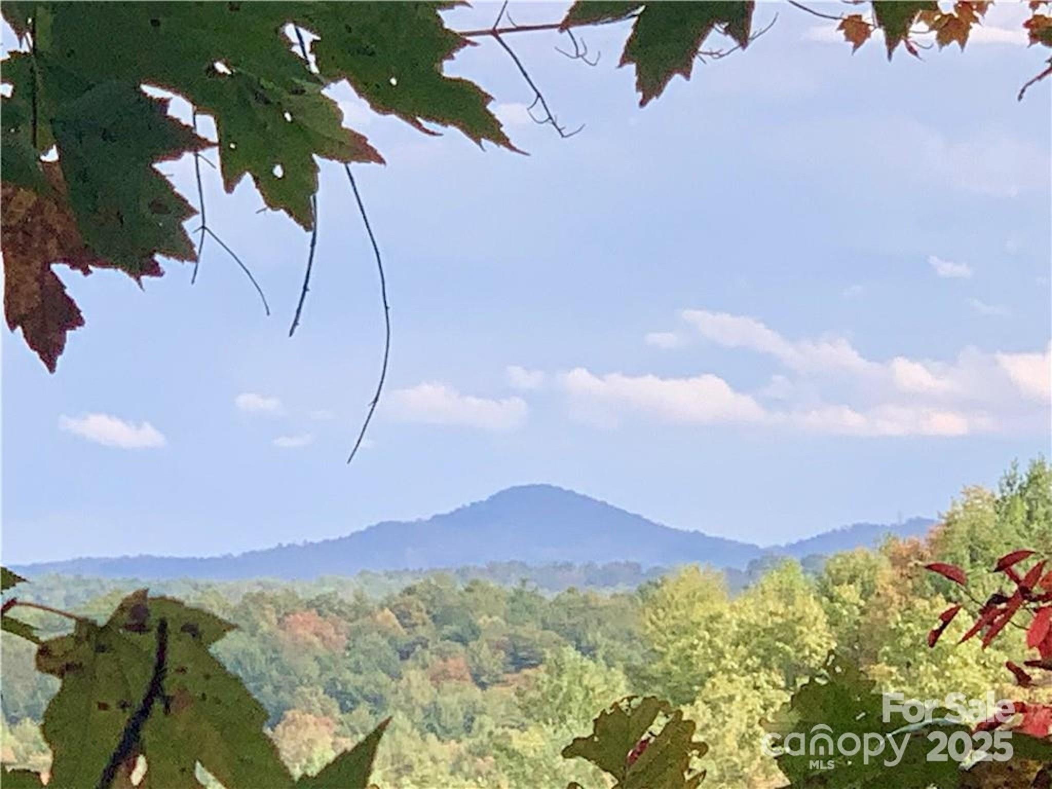 The Coves Mountain River Club - Land