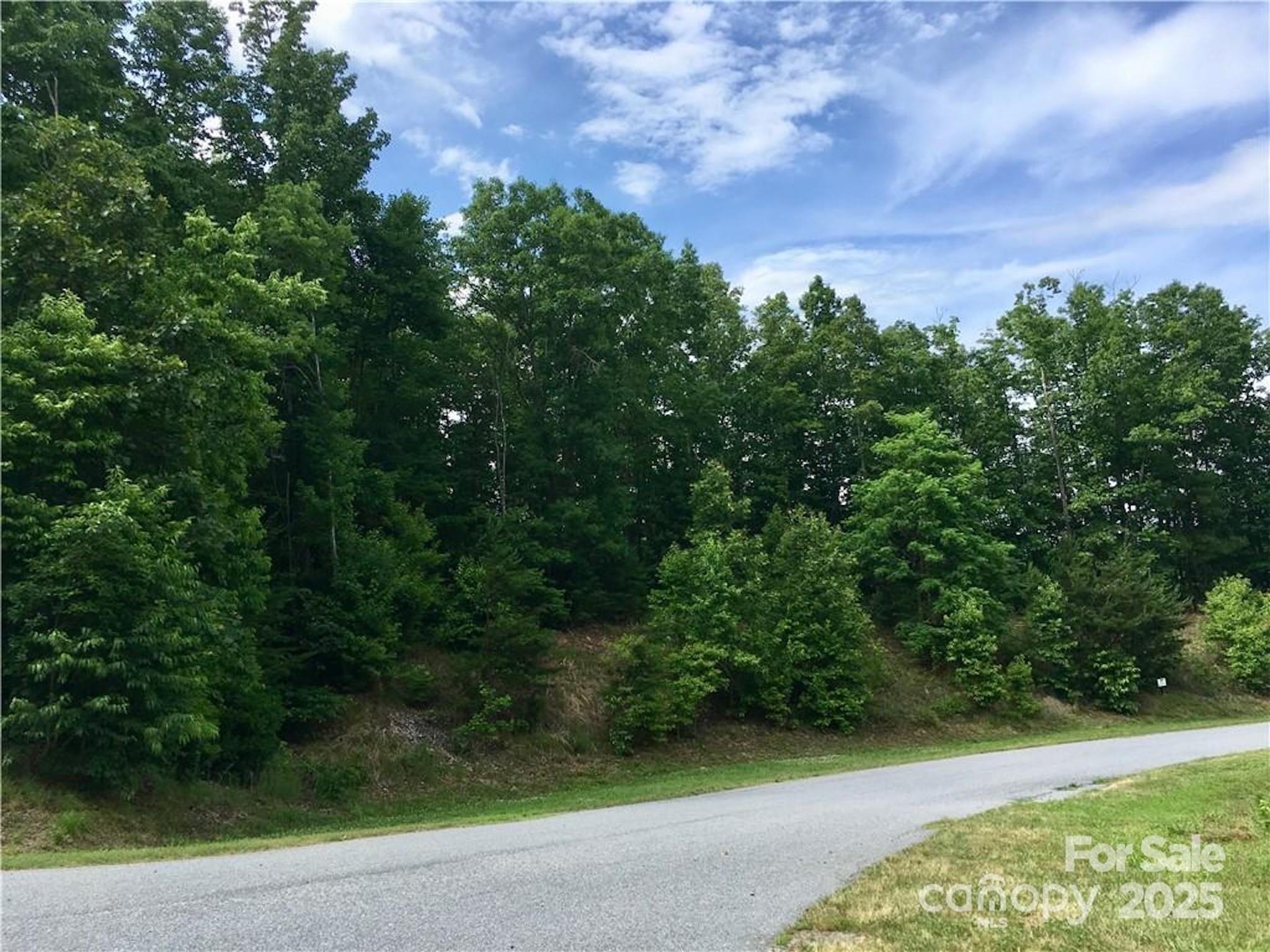 Lot 44 Round Mountain Parkway Lot 44