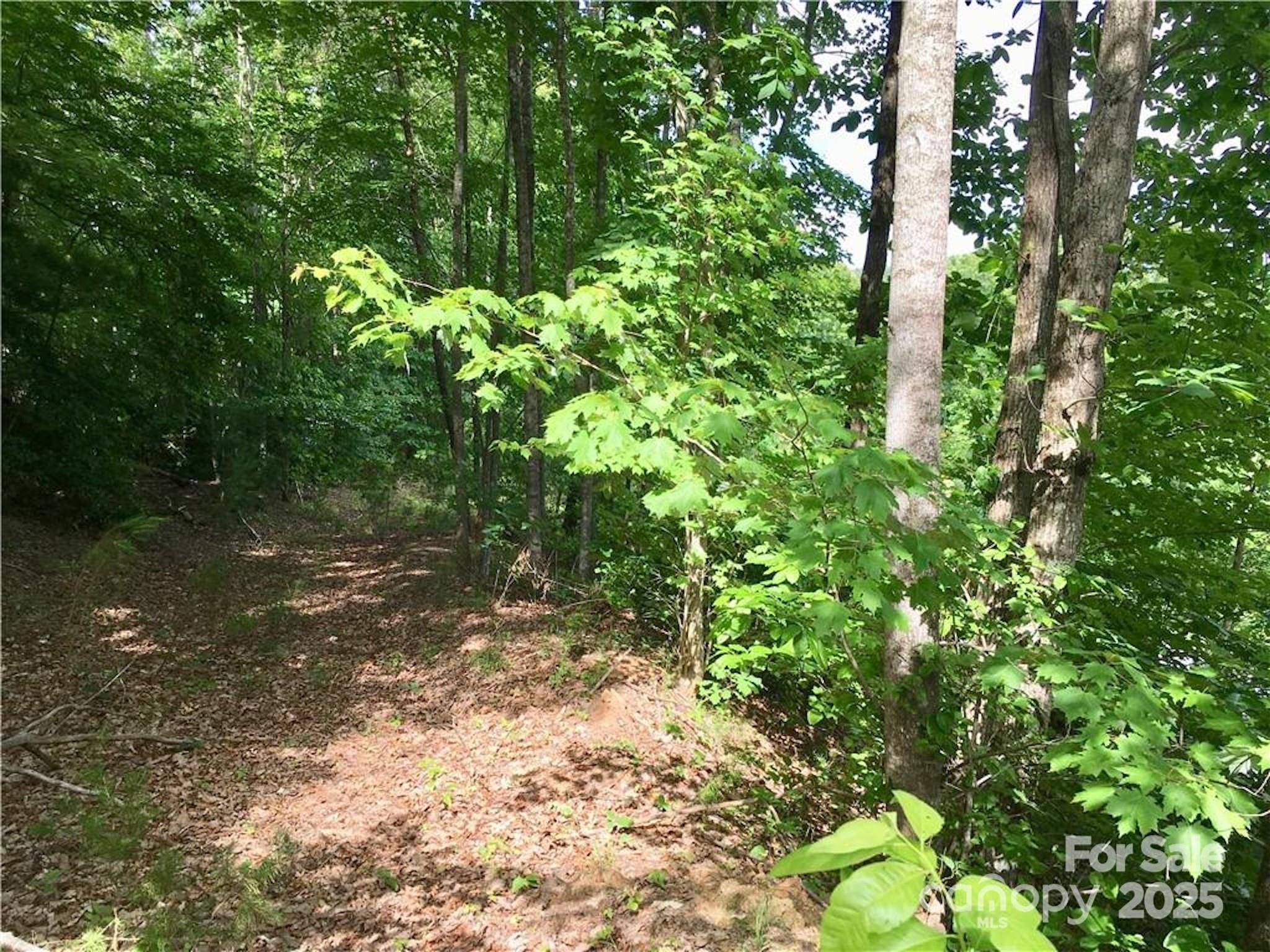 Lot 44 Round Mountain Parkway Lot 44