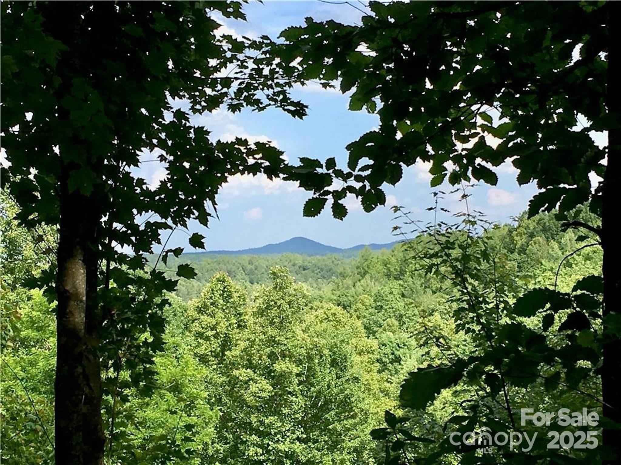 The Coves Mountain River Club - Land