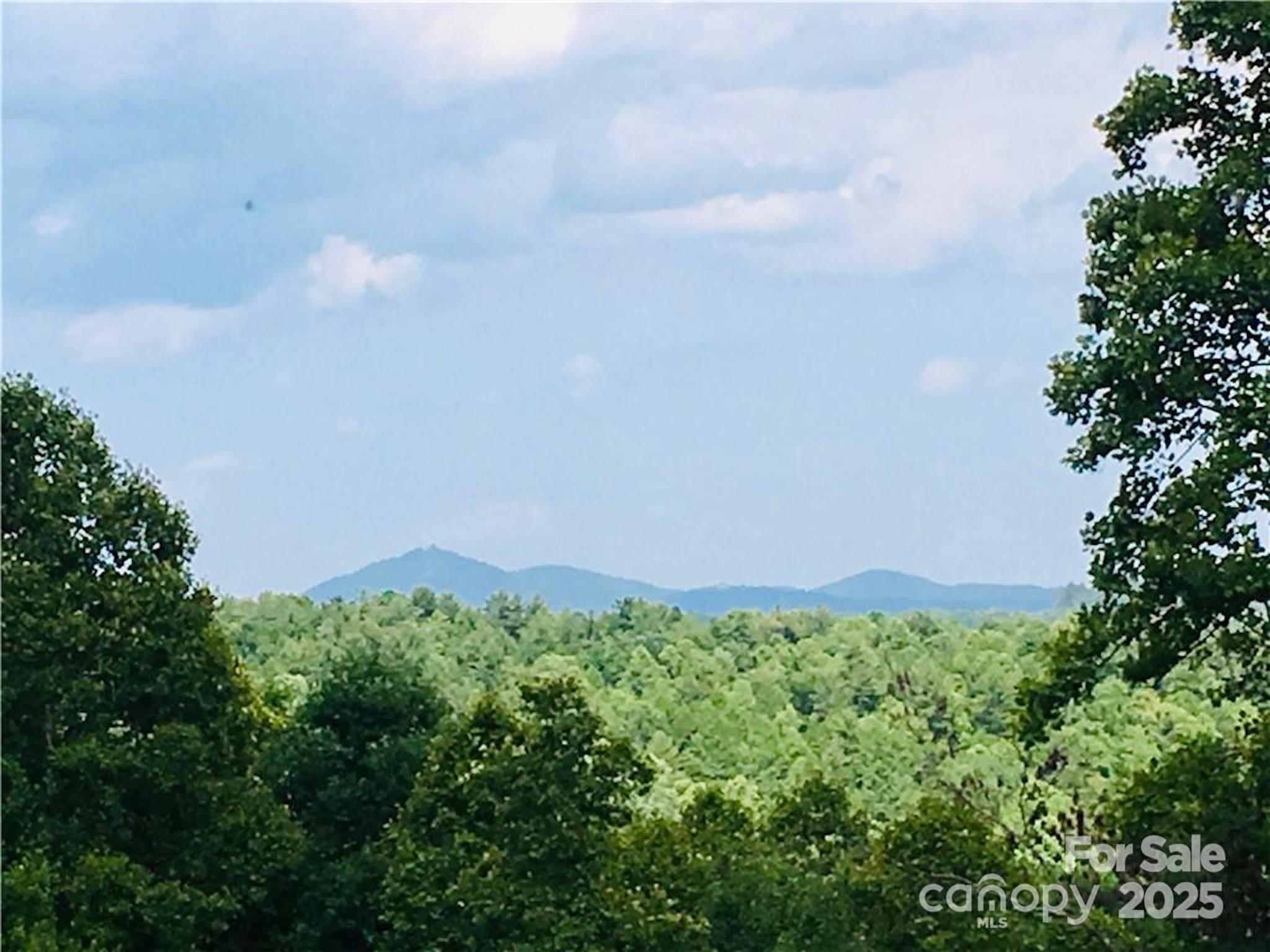 Lot 44 Round Mountain Parkway Lot 44